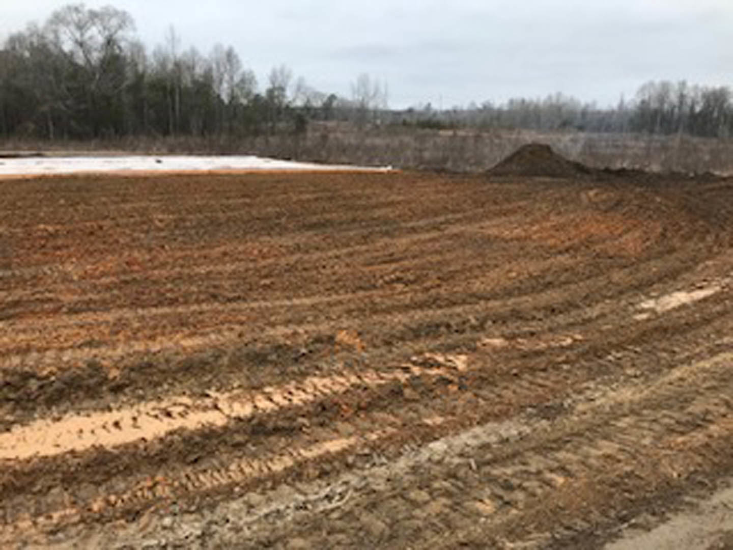 Dirt field with tire tracks, scattered grass, and trees lining the background under a partly cloudy sky