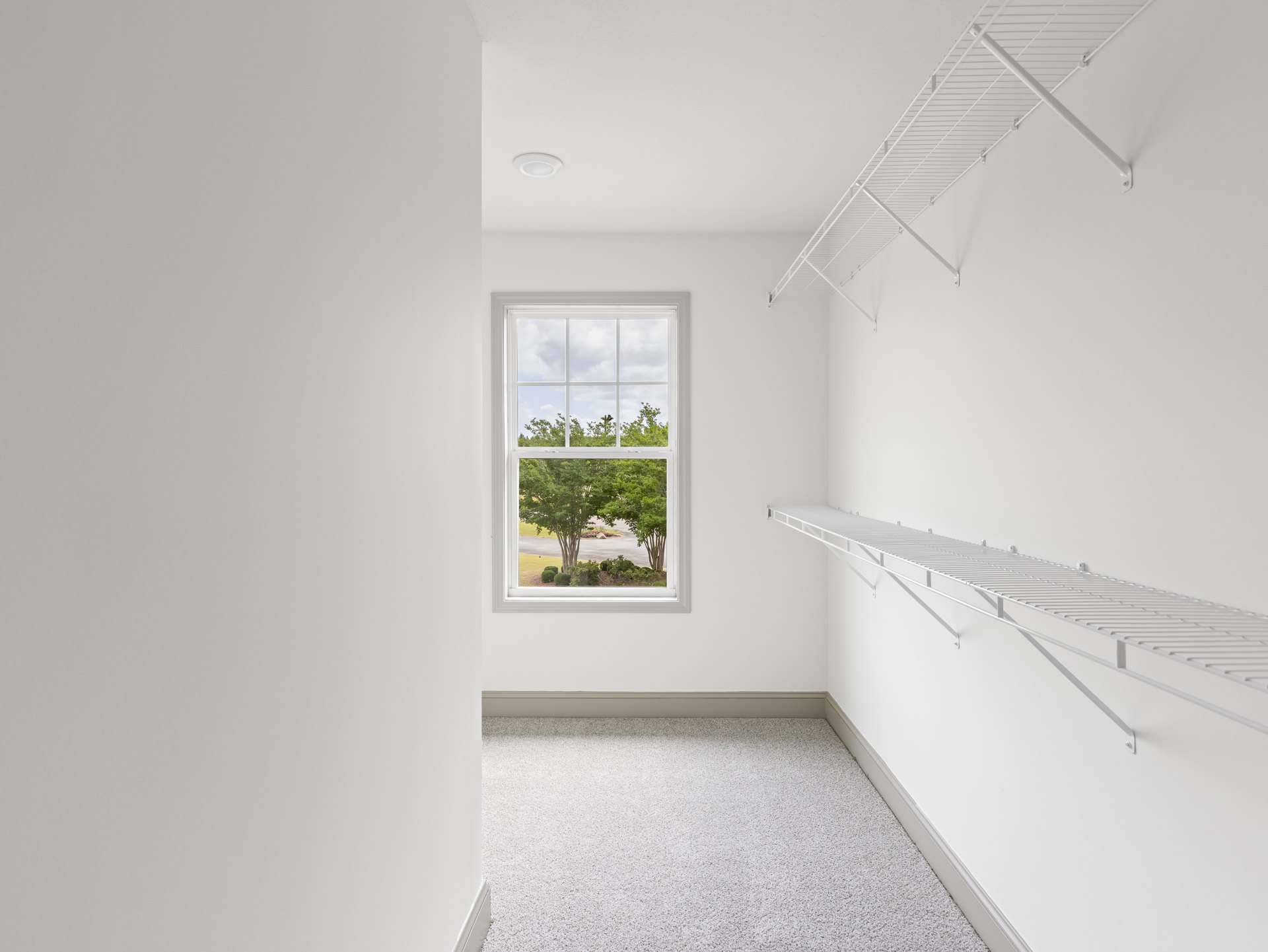 White walls and ceiling, built-in white shelves, large window with view of green trees and bushes, white carpeted floor, sunlight casting bright spot on surface.