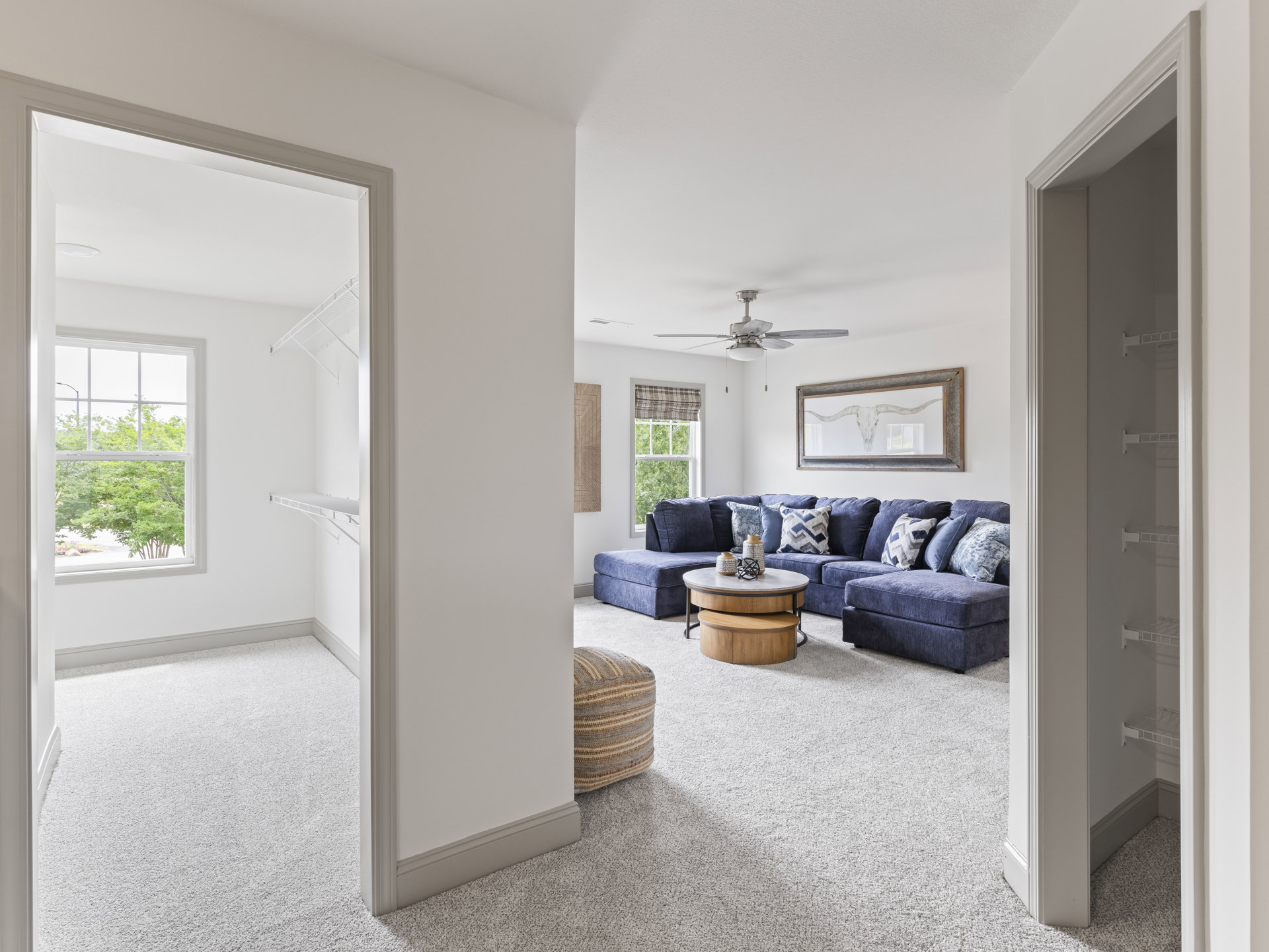 Living room with gray couch, patterned pillows, wooden coffee table, bull skull painting on wall, ceiling fan, vases on side table, large window showing green trees outside