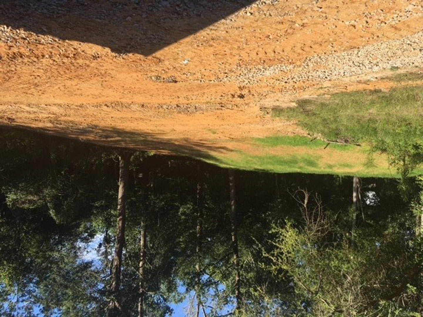 Dirt hill with patches of green grass, scattered trees in the background, and a person’s shadow cast on the uneven ground