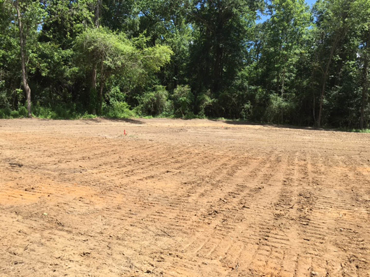 Dirt field with tire tracks bordered by dense trees, red object partially visible in soil, natural landscape under clear sky
