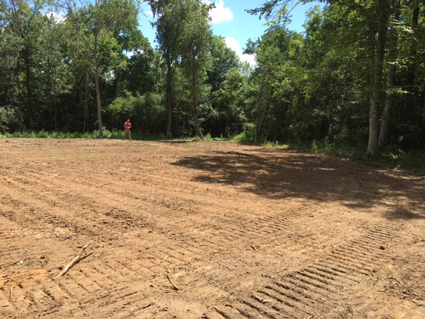 Dirt field with tire tracks bordered by trees under a blue sky, man standing in the background