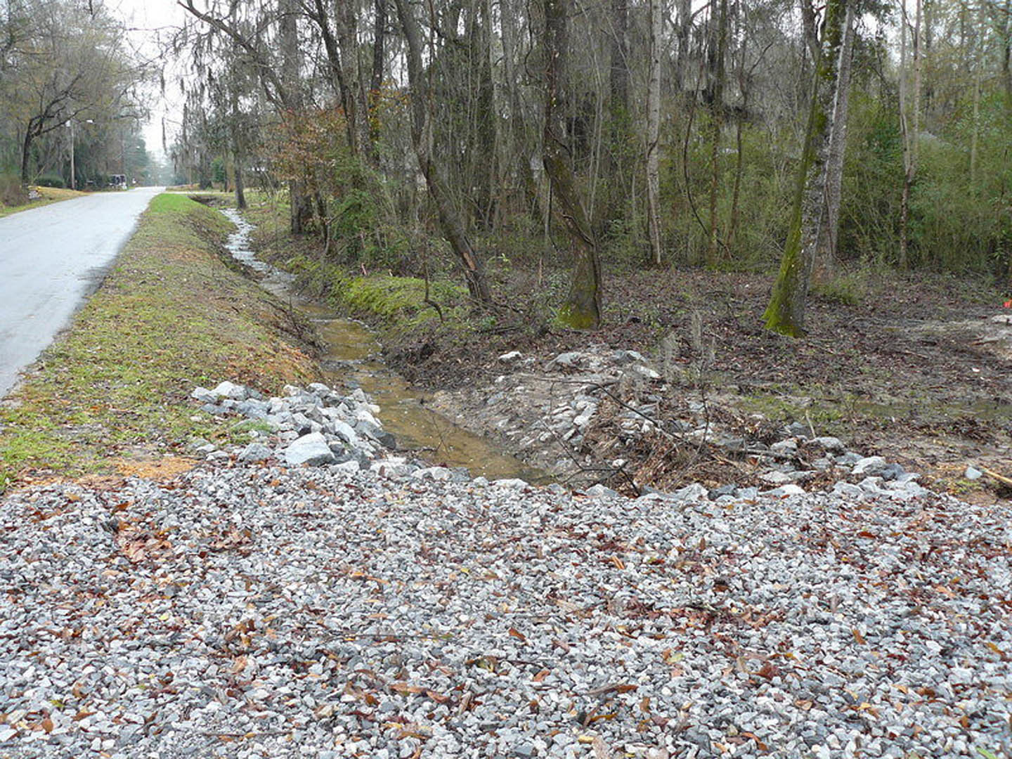 Stream bordered by grass and rocks winding through dense forest with tall trees, gravel road, and scattered debris