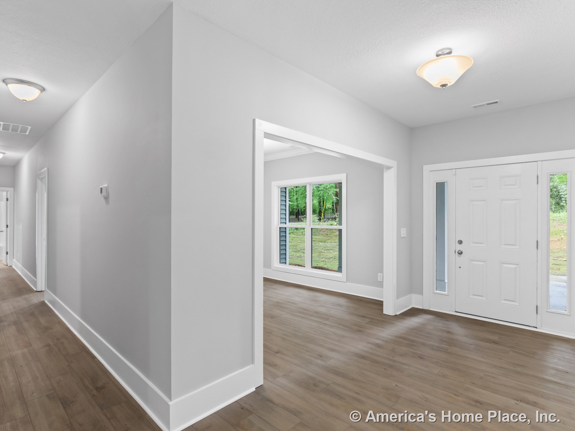 White front door with glass sidelights, wide entry windows, wood-look plank flooring, gray painted walls, ceiling-mounted light fixtures, white baseboards and interior trim in an