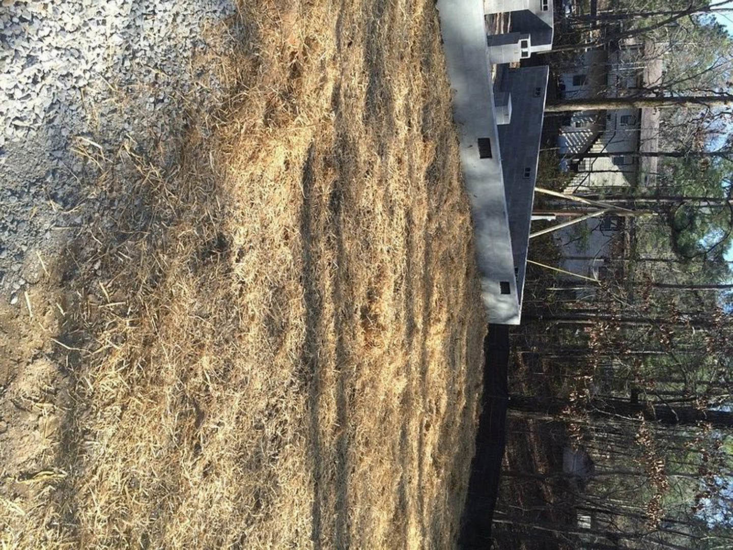 Modern home with light concrete exterior walls, vent detail, surrounded by grassy yard, scattered rocks, and mature trees in the background