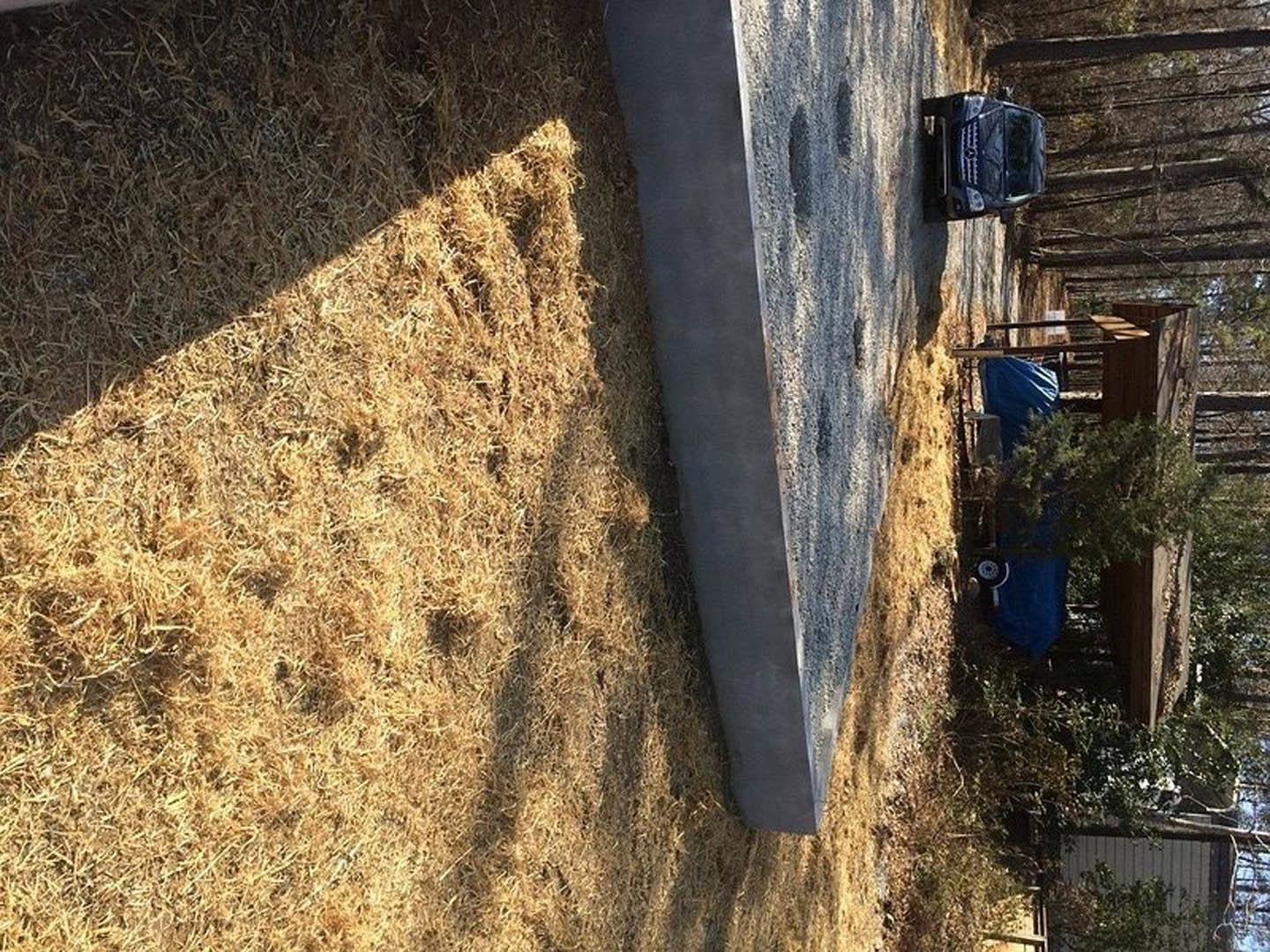 Concrete slab surrounded by grass in a residential yard, bordered by a concrete wall and metal fence, potted tree nearby