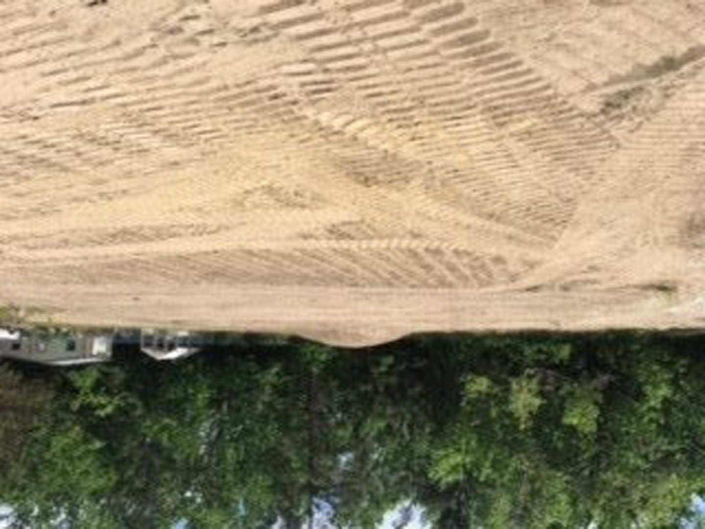 Dirt road with deep tire tracks bordered by trees and patches of ground, exterior view with natural outdoor setting