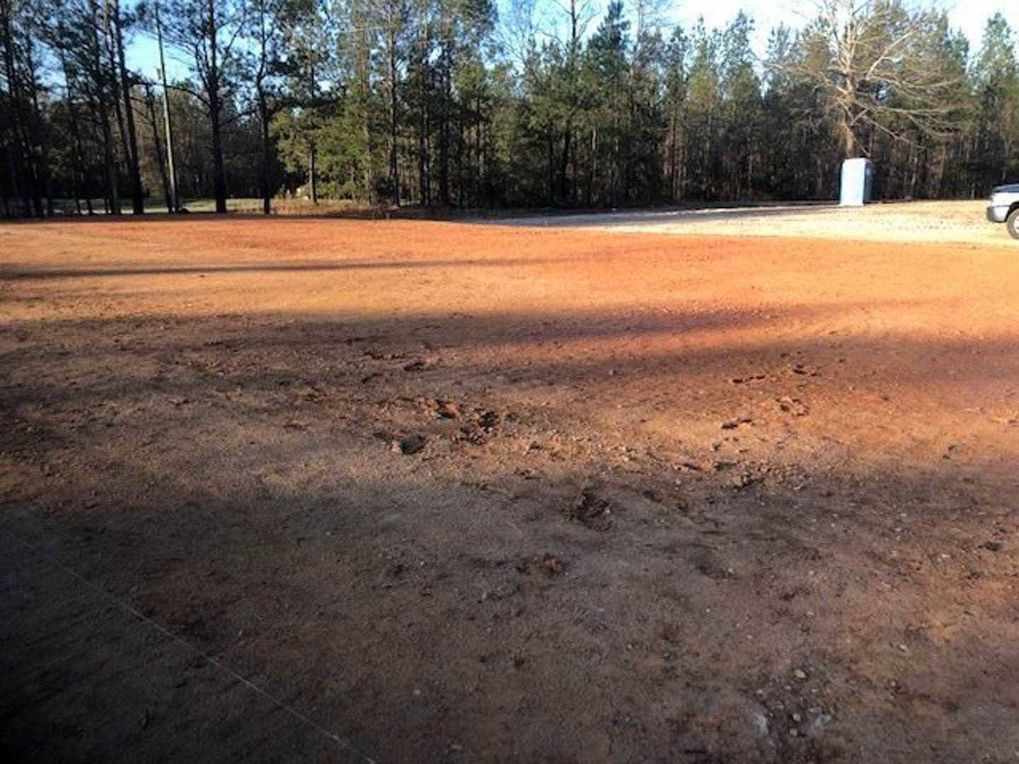 Dirt field bordered by leafless trees under a pale sky, rough soil surface in foreground