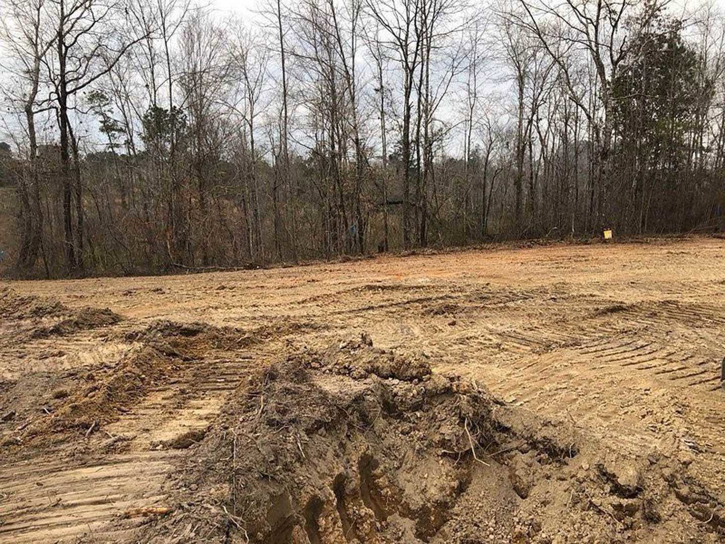 Dirt field bordered by leafy trees under a clear sky