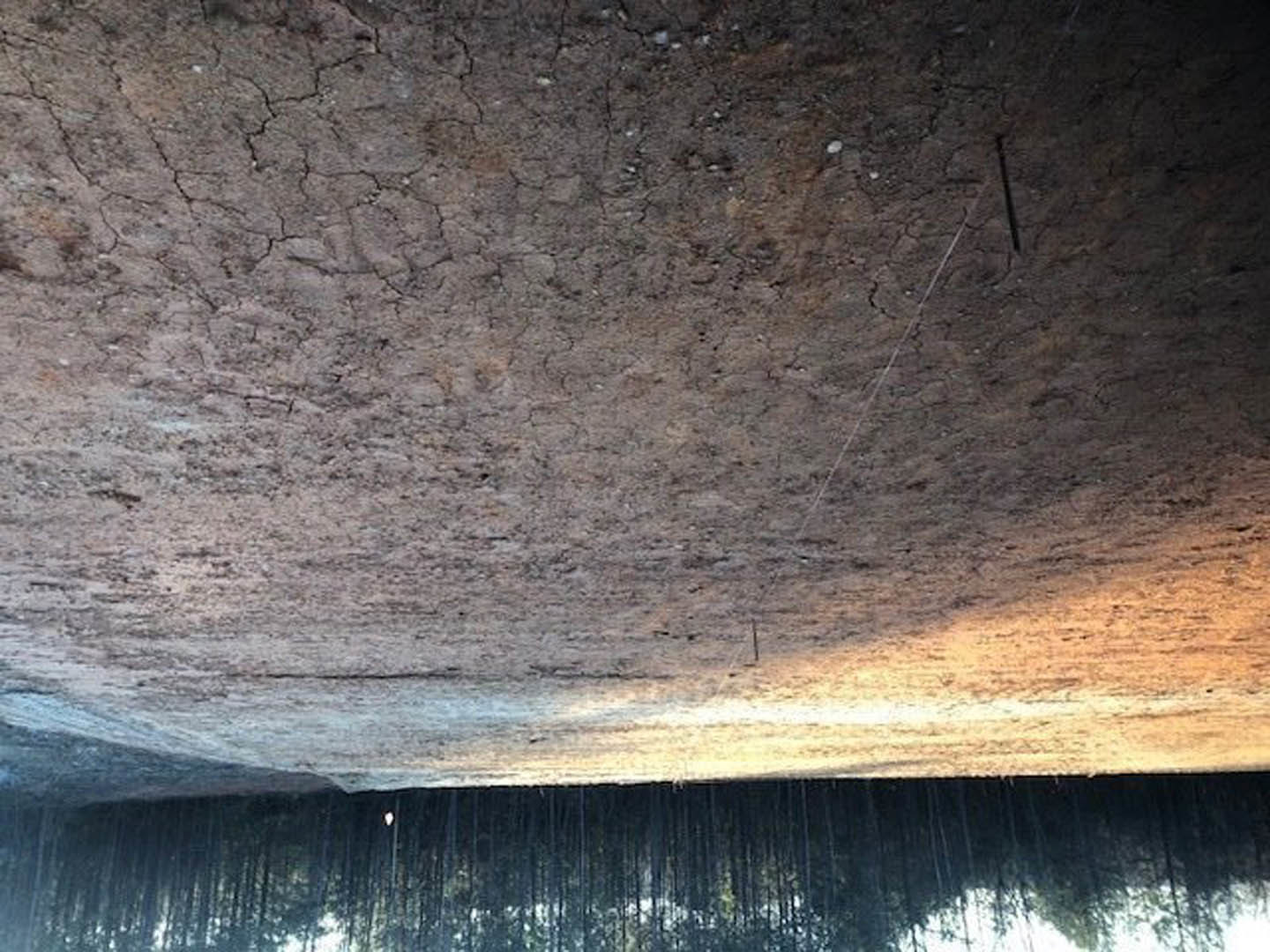 Dirt field with cracked, sandy surface and scattered trees in the background