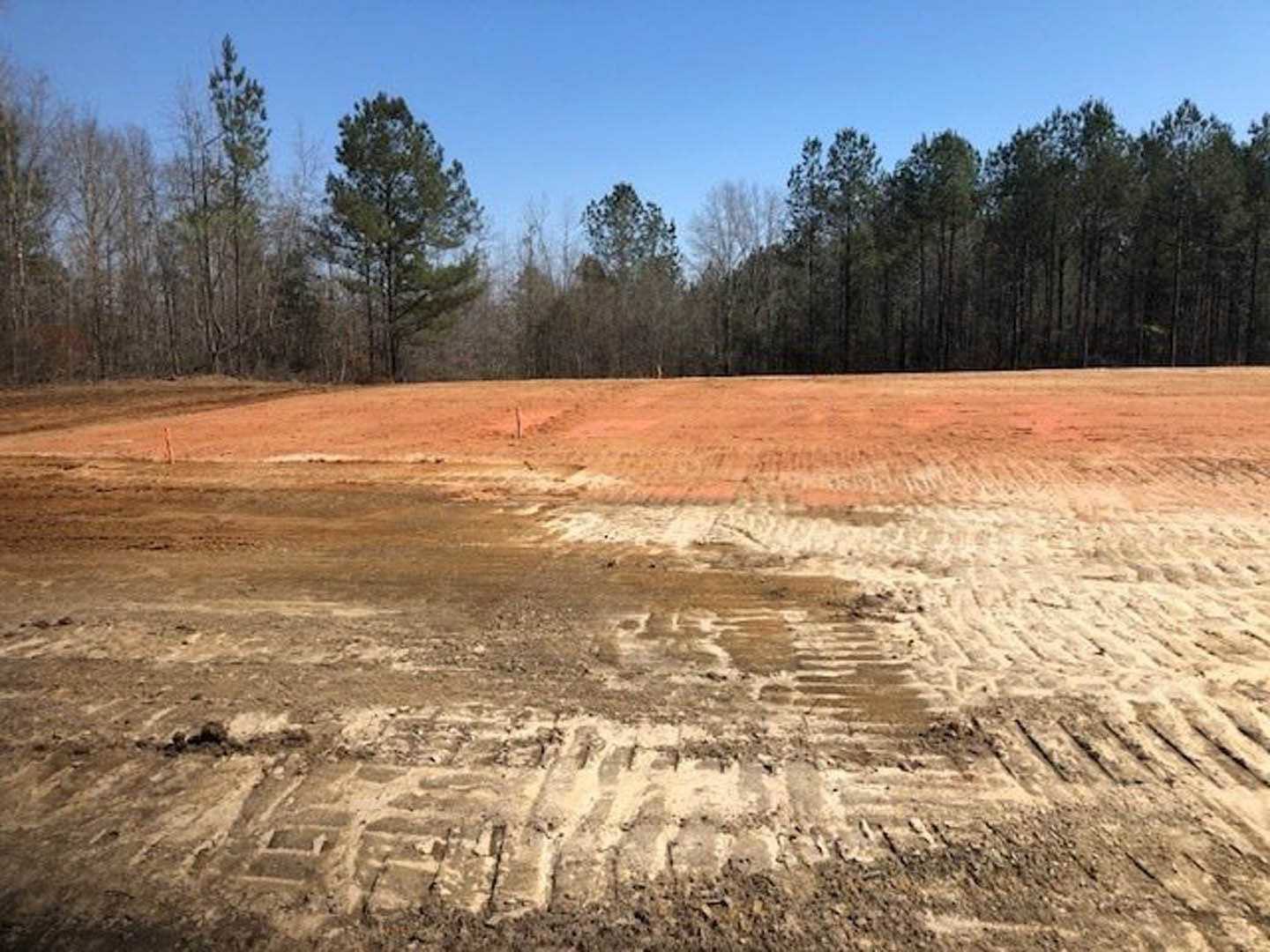 Dirt field with tire tracks bordered by green-leaved trees under clear blue sky