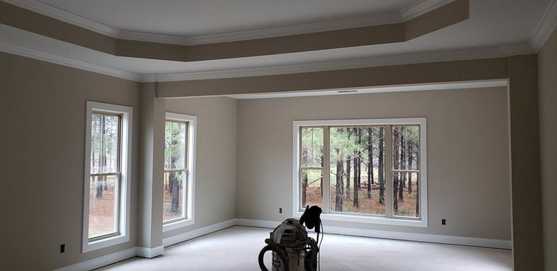 Living room with light wood flooring, white plaster walls, large window, and upright vacuum cleaner near baseboard molding