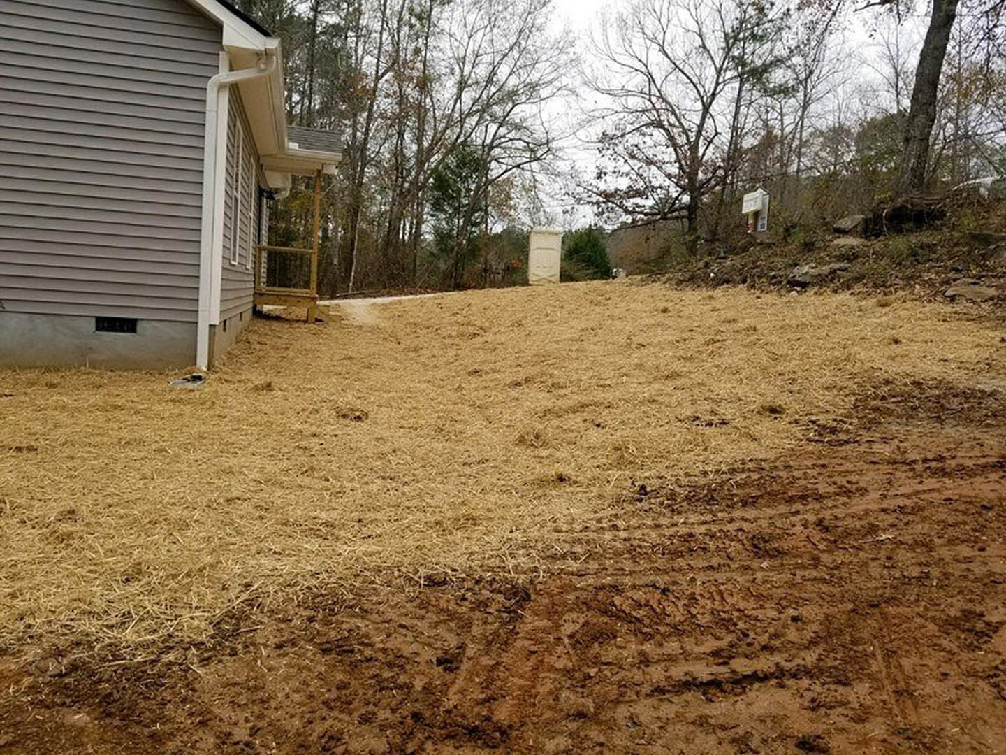 White modern house with black horizontal accent, bare dirt yard scattered with hay, leafless tree, white gutters, window with ladder propped against wall