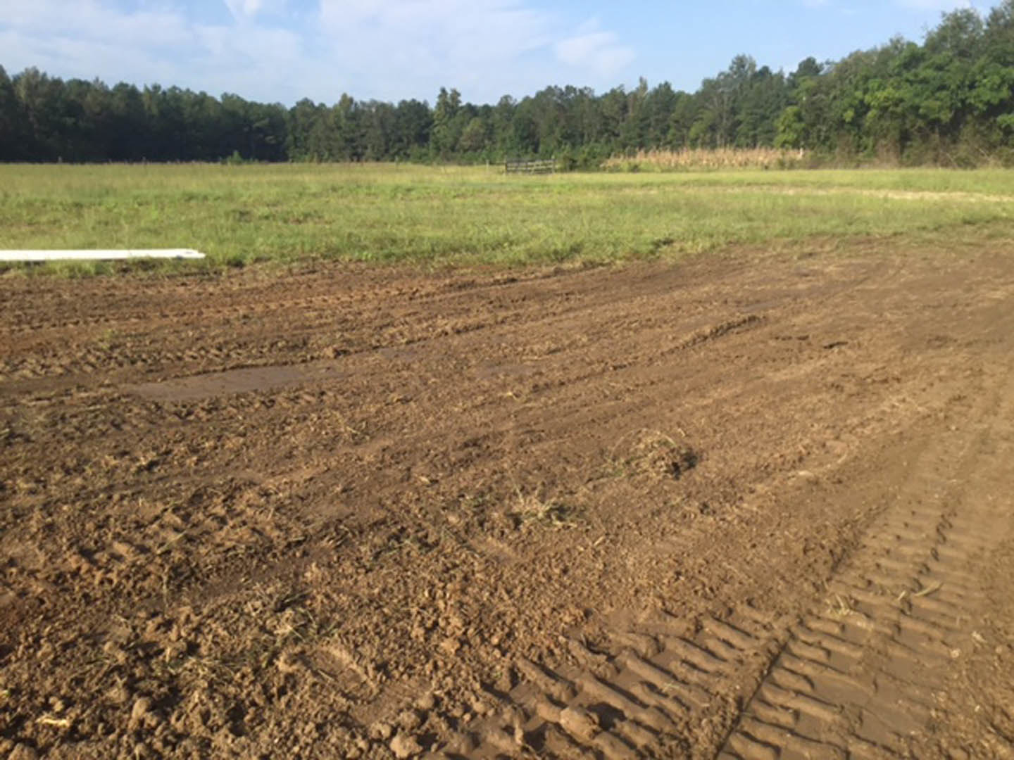 Dirt road with tire tracks running through grassy field, group of trees in the distance, fence along horizon, white line in grass, blue sky with scattered clouds