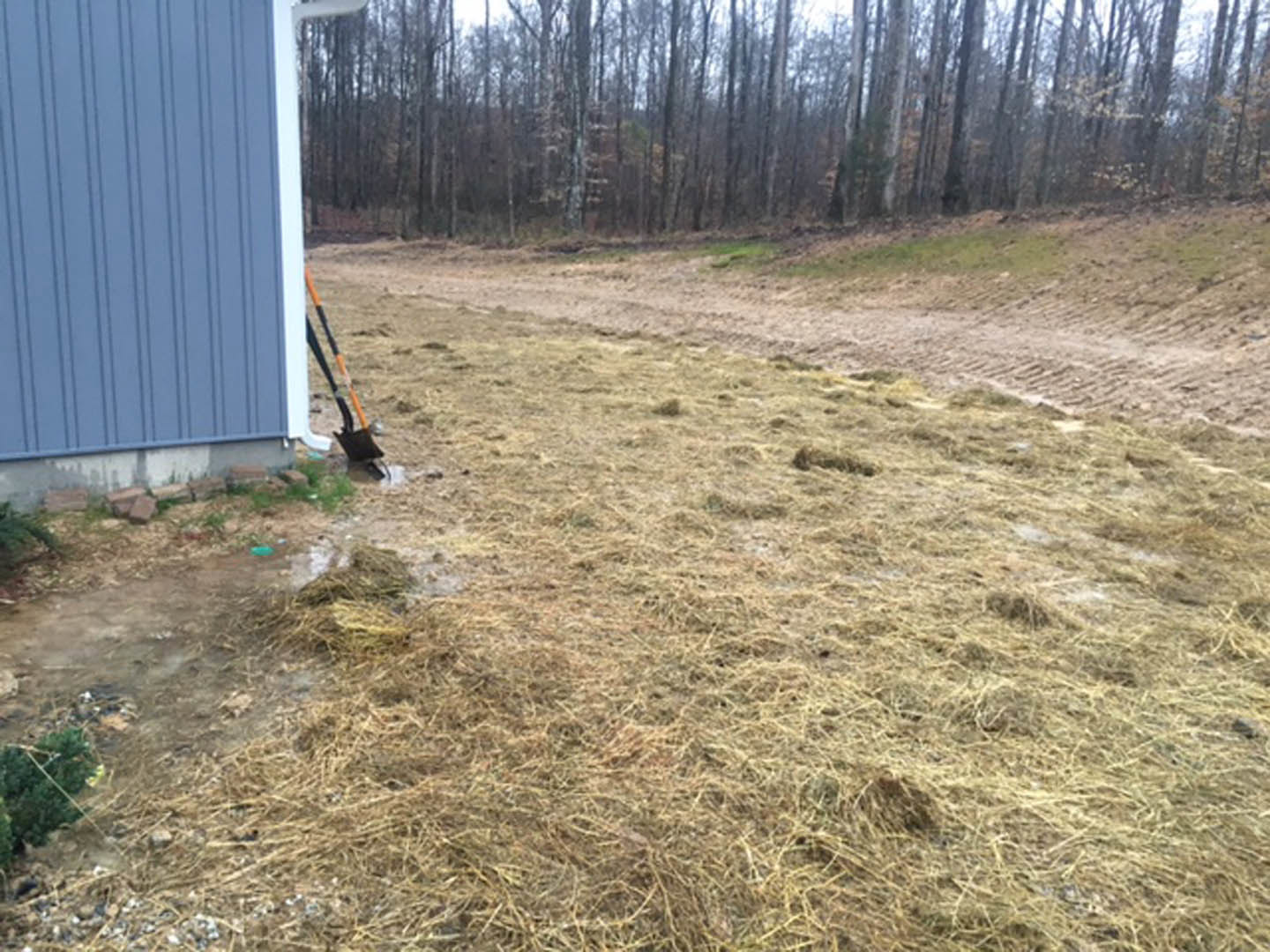 Dirt path winding through a grassy field with scattered shovels, bordered by trees under a clear sky