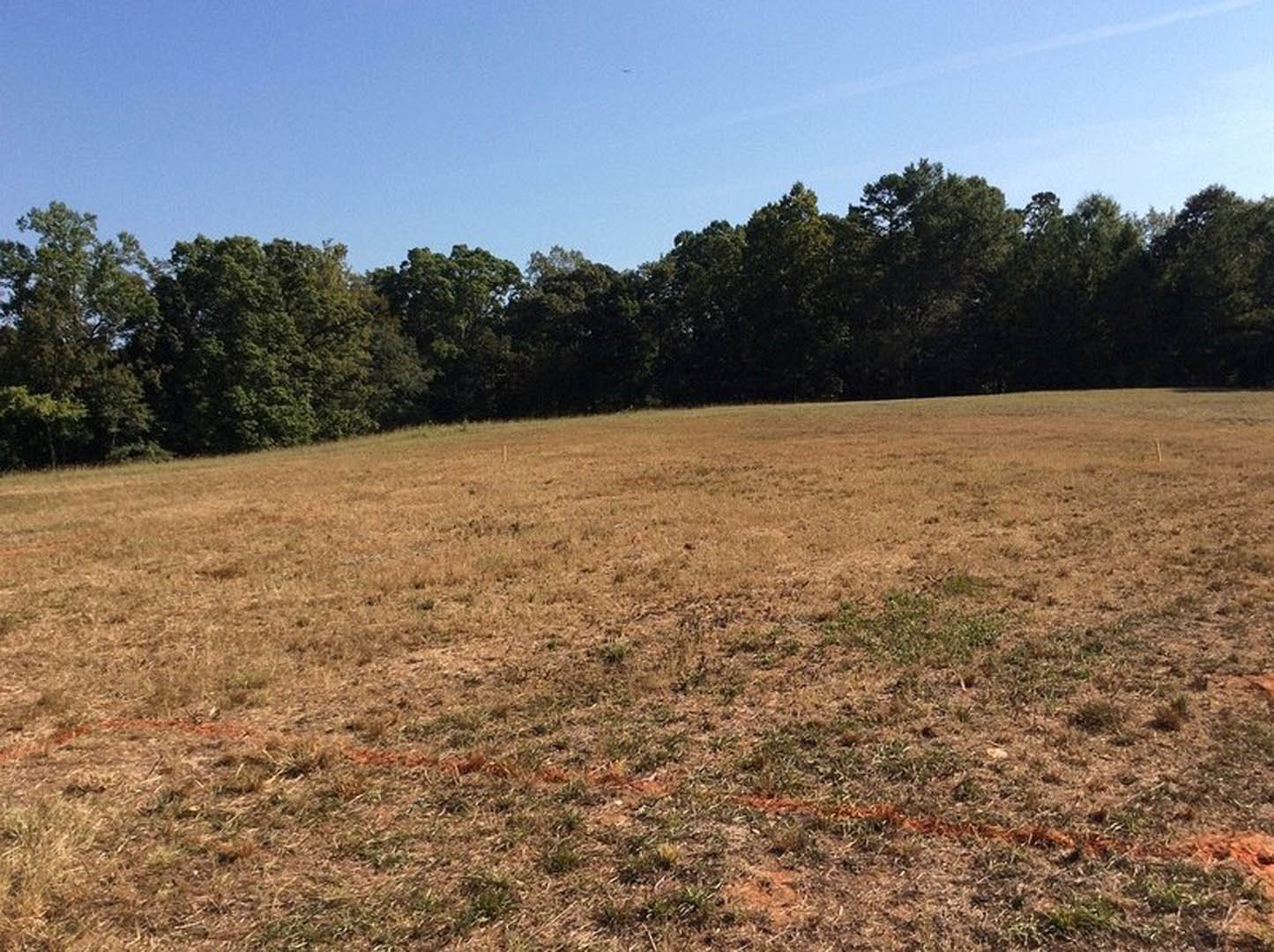 Expansive grassy field bordered by mature trees under clear blue sky