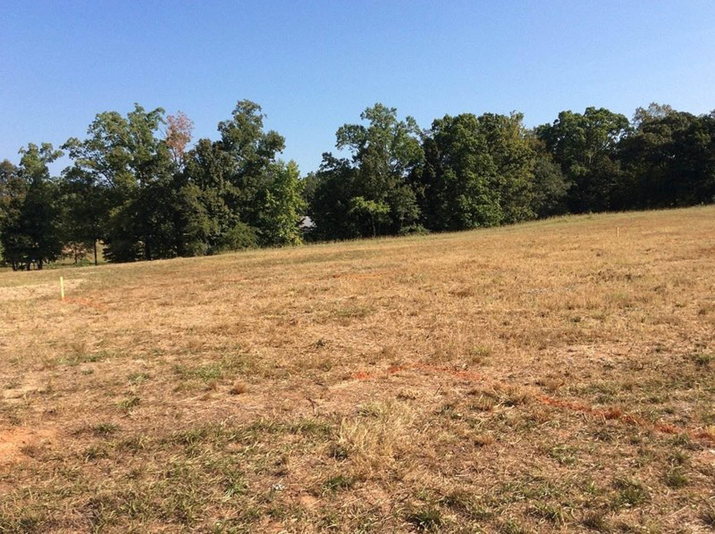 Grassy field bordered by leafy trees under clear blue sky