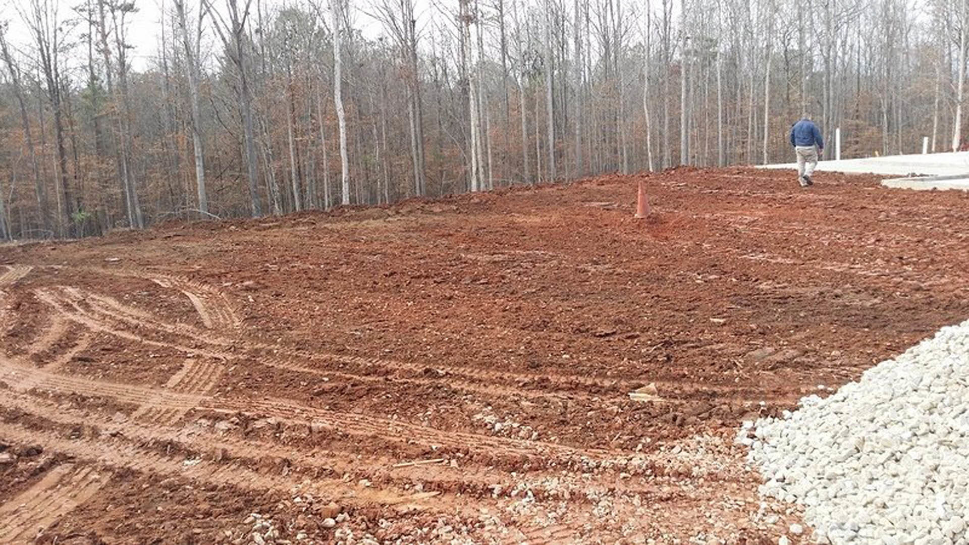 Dirt field bordered by leafless trees under a pale winter sky, with a person walking in the distance