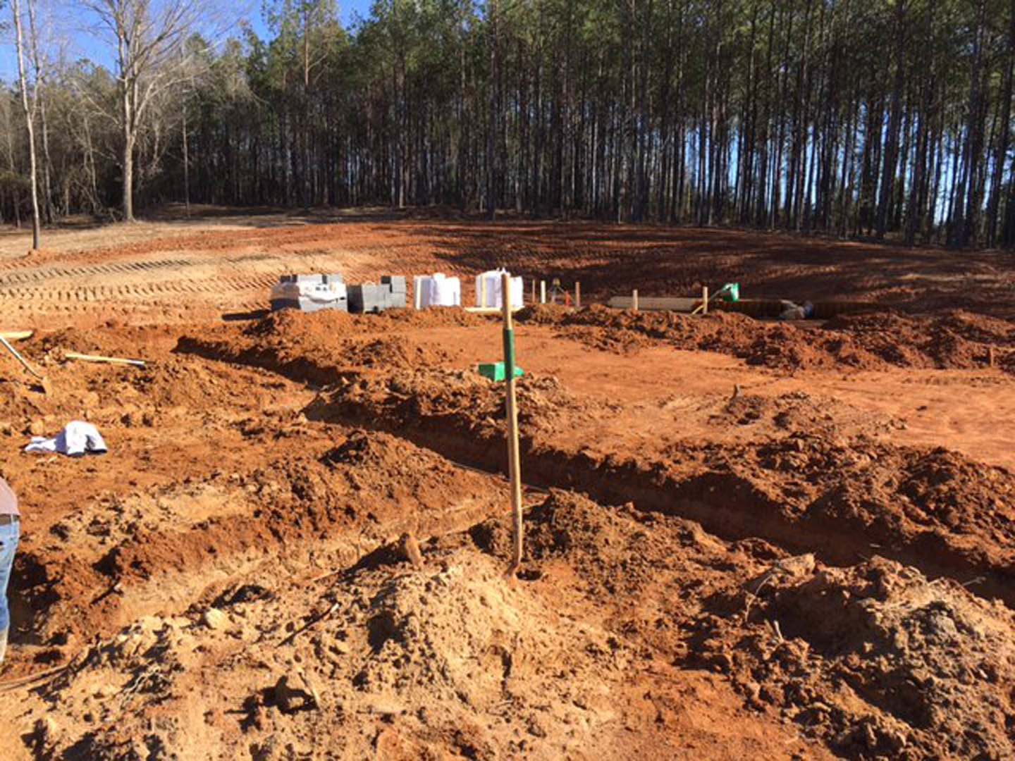 Dirt field with scattered trees in the background, exposed soil and a utility pole, clear sky overhead