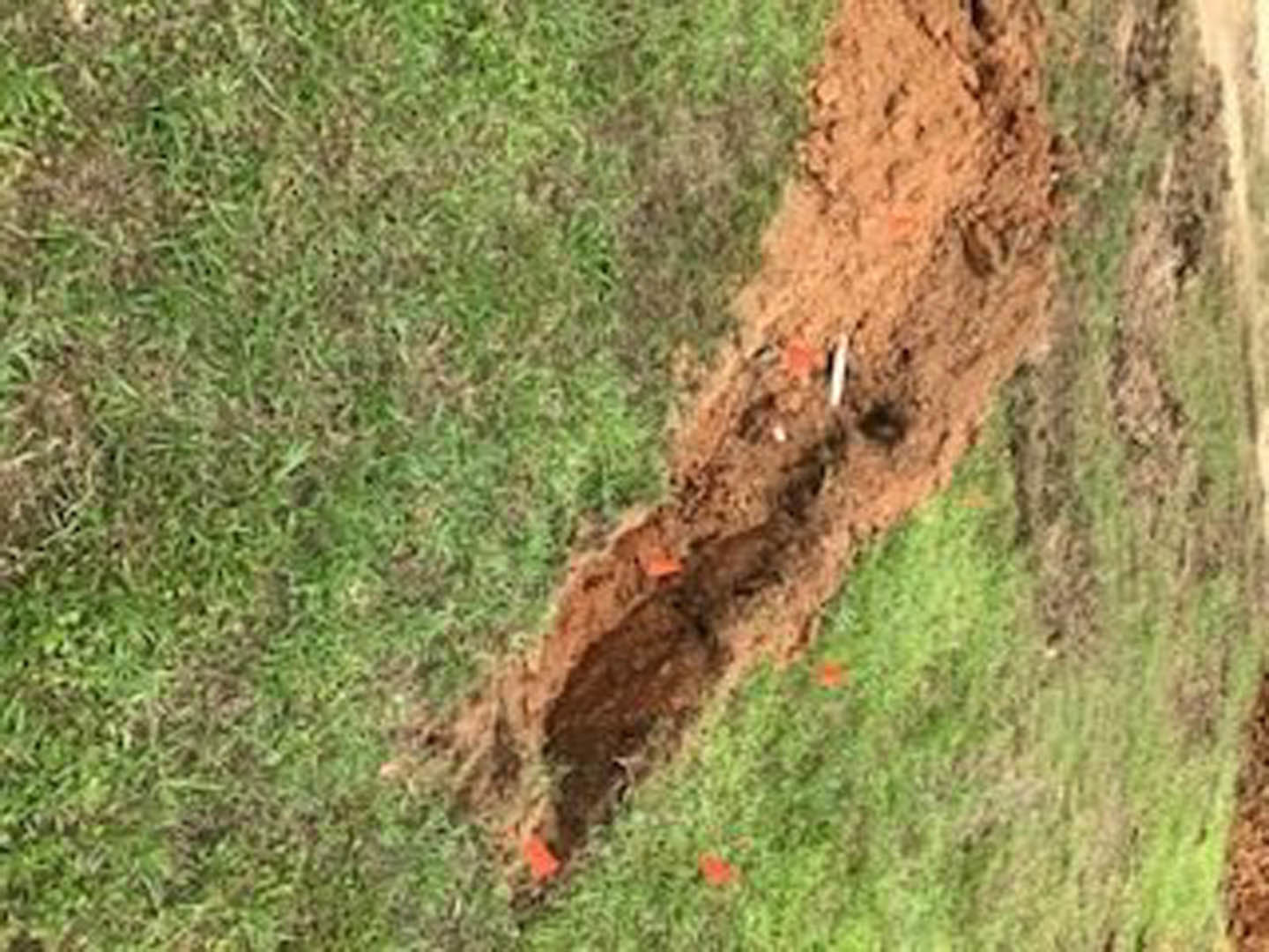 Freshly dug hole in grassy yard with exposed soil and surrounding green plants