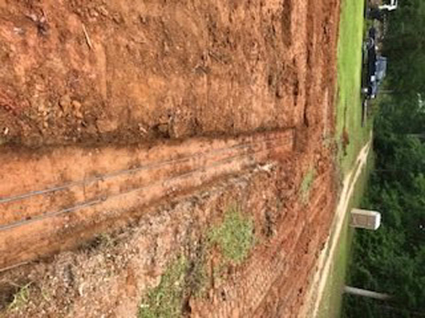Dirt road with tire tracks bordered by grass, surrounded by trees and outdoor greenery