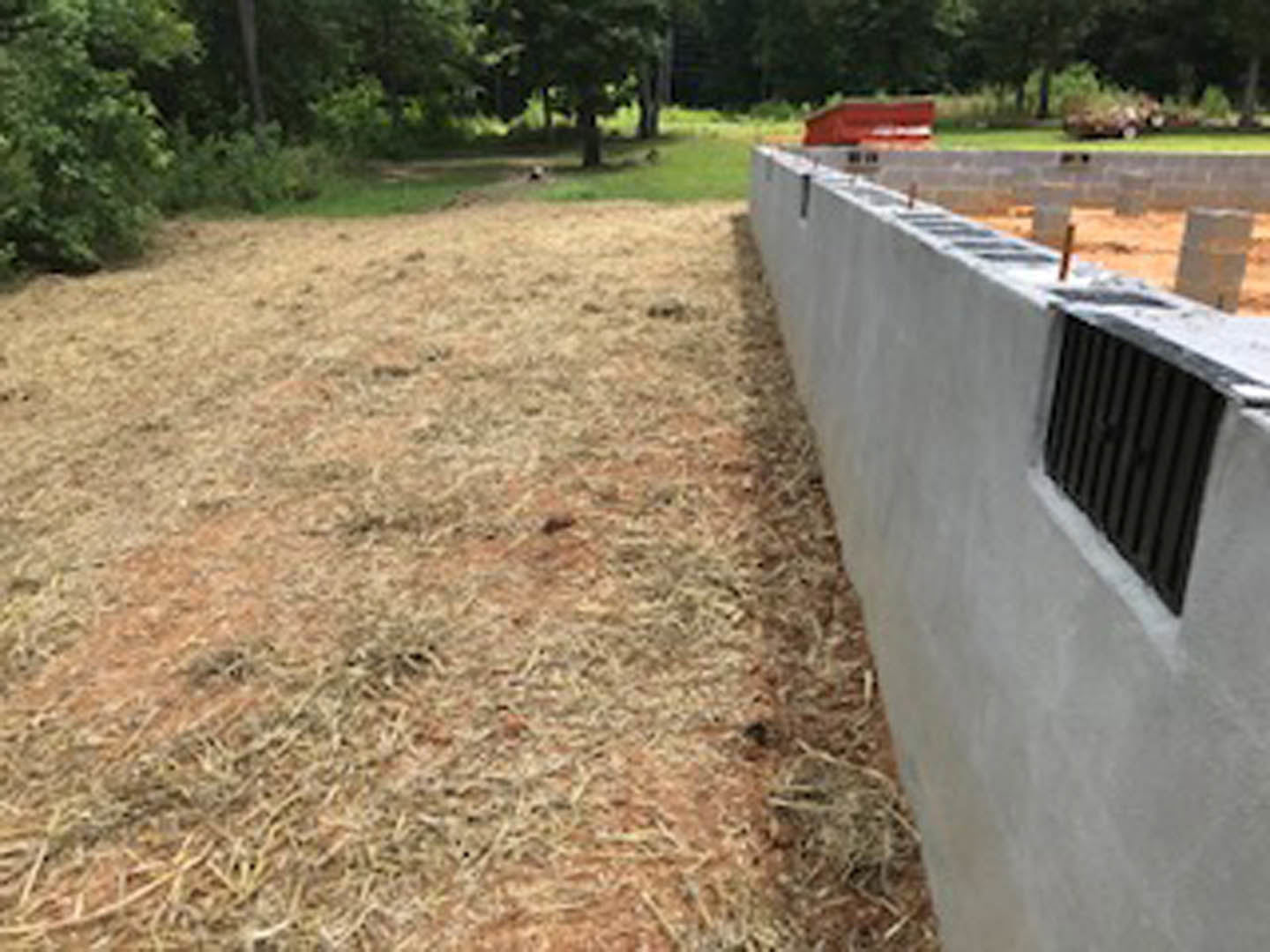 Concrete wall topped with metal fence, bordered by green grass and surrounded by trees and plants