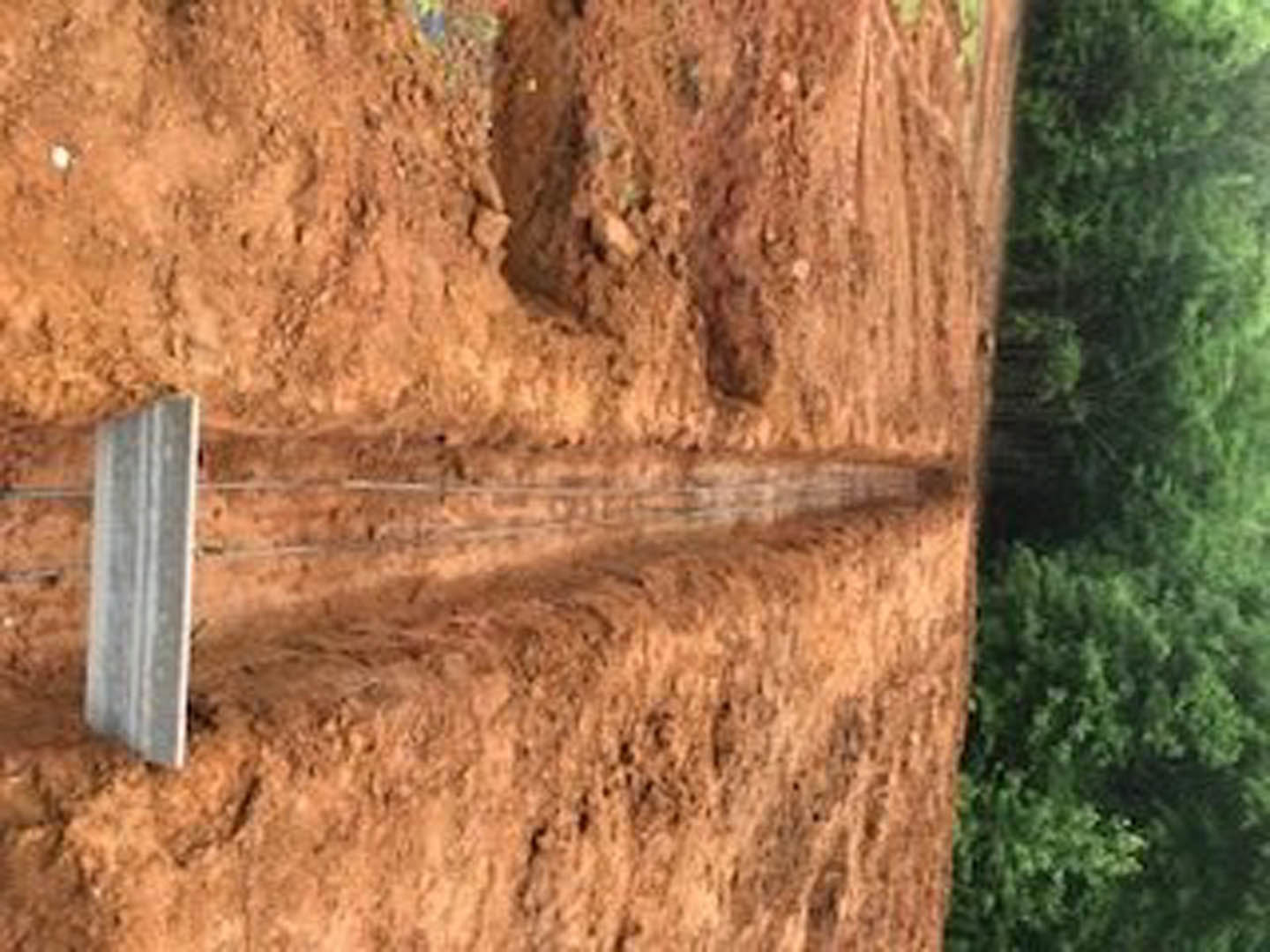 Dirt field bordered by a metal fence, tree trunk and leafy tree in background, soil and ground visible throughout outdoor space
