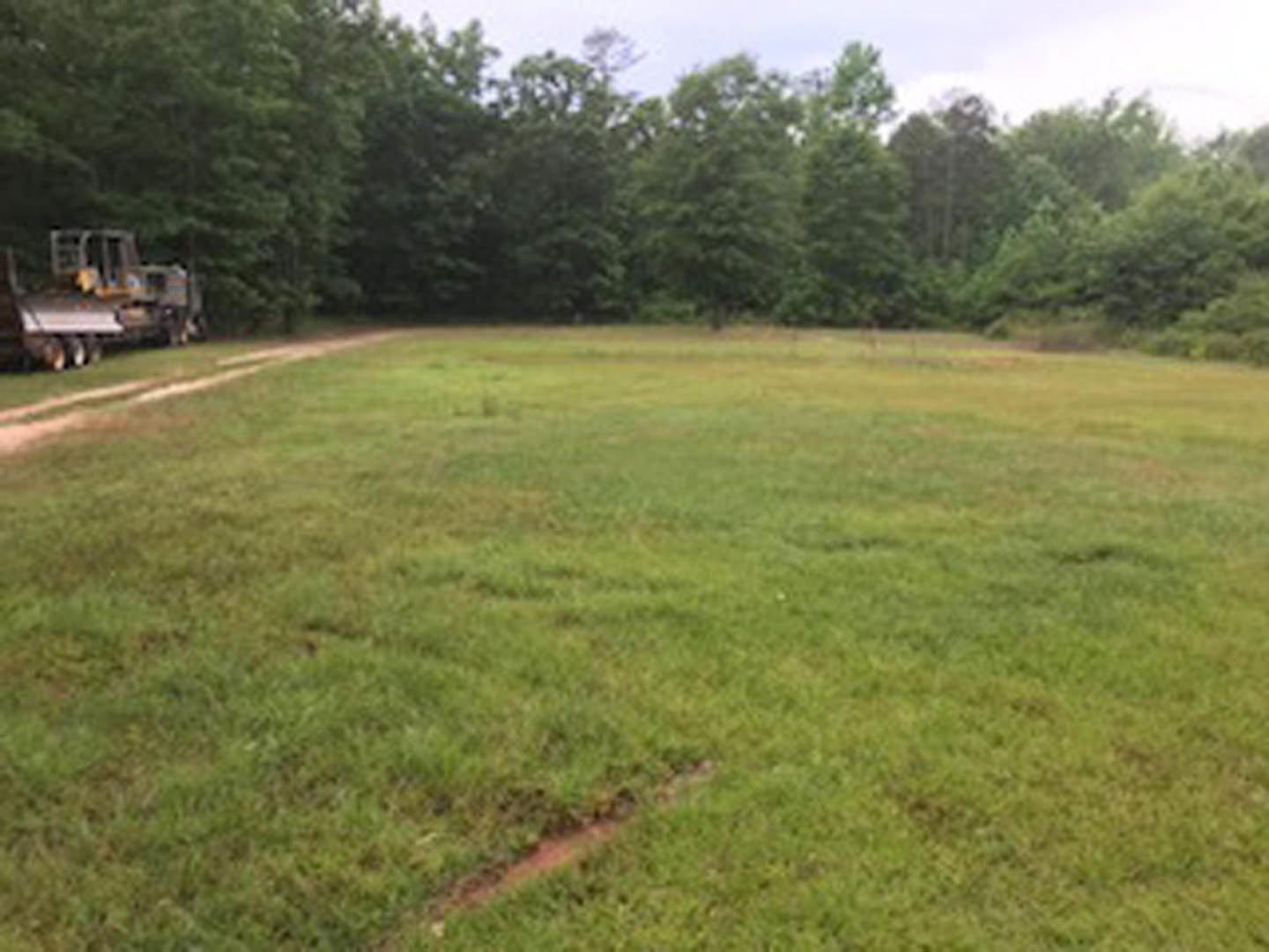 Wide grassy field bordered by mature trees under a clear sky, rural landscape with open lawn and distant woodland