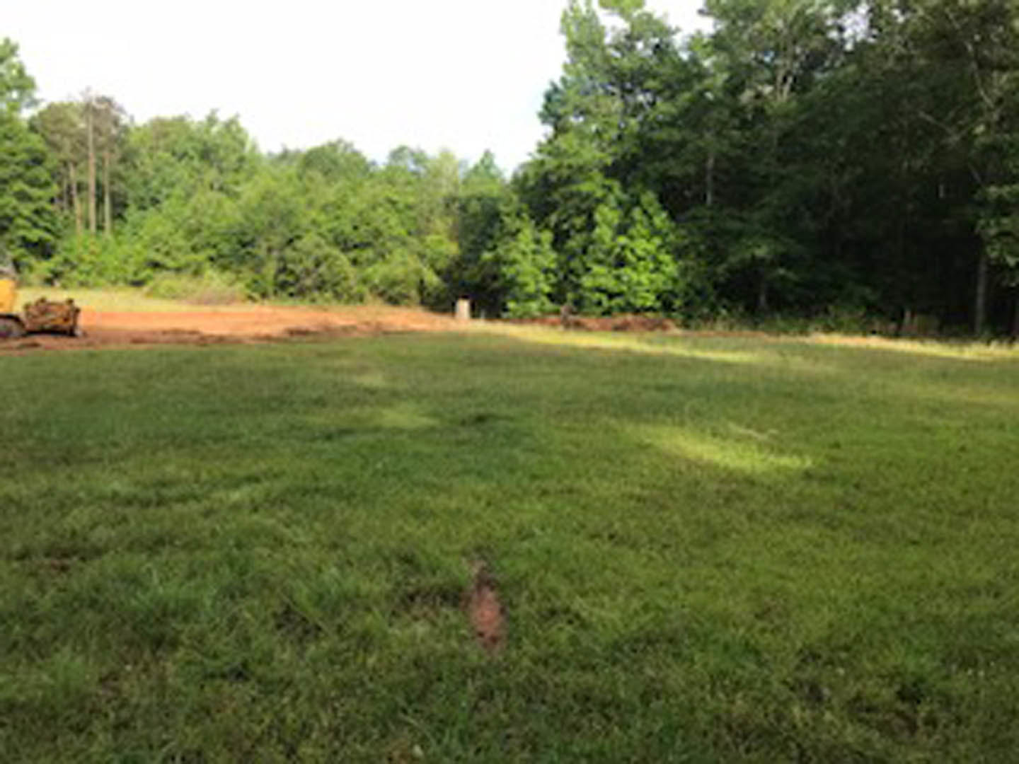 Wide grassy field bordered by mature trees under a clear sky