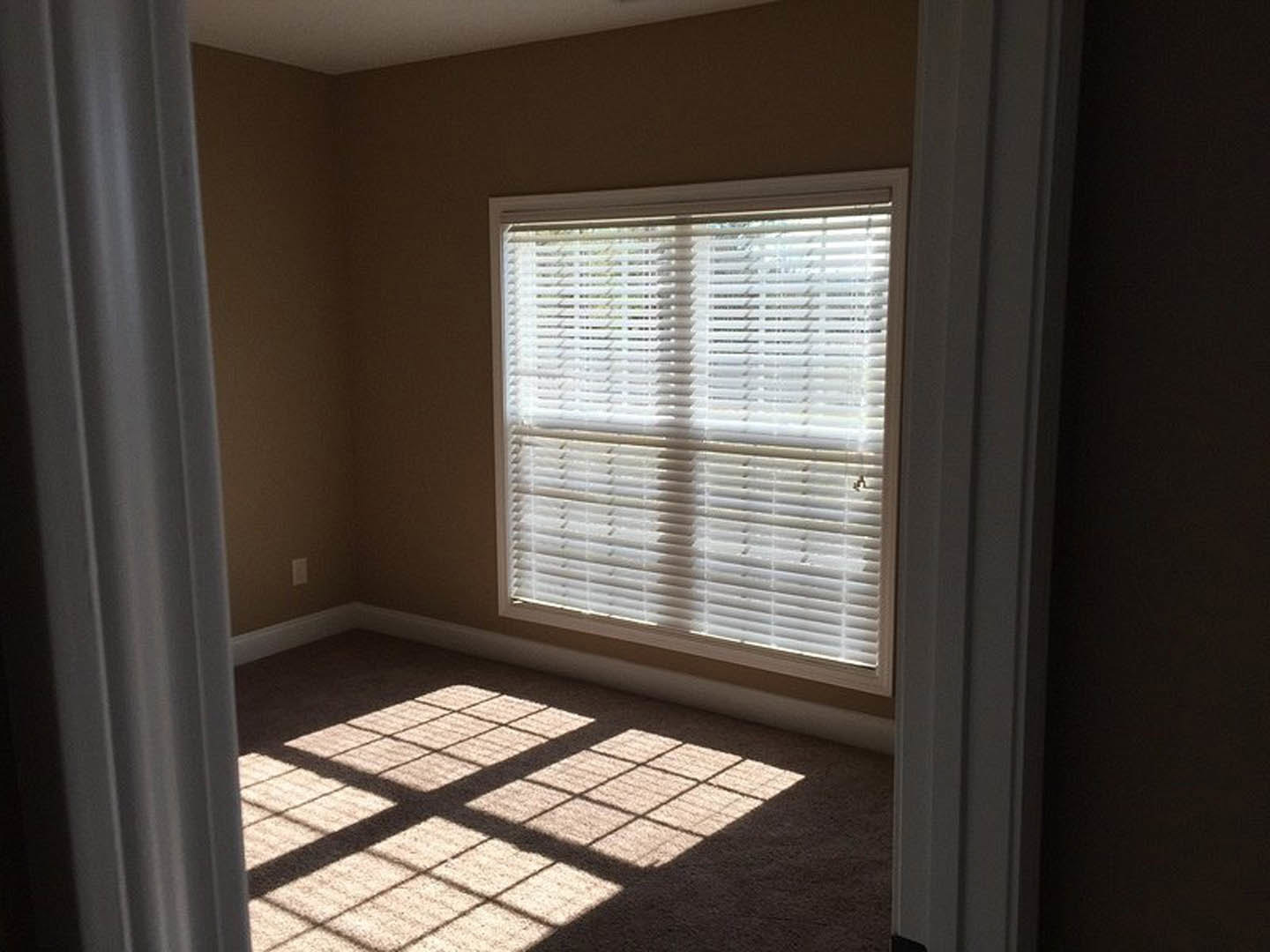 Sunlight streaming through white blinds casts grid patterns onto hardwood floor in a bright room with white walls and ceiling, adjacent to a paneled white door.