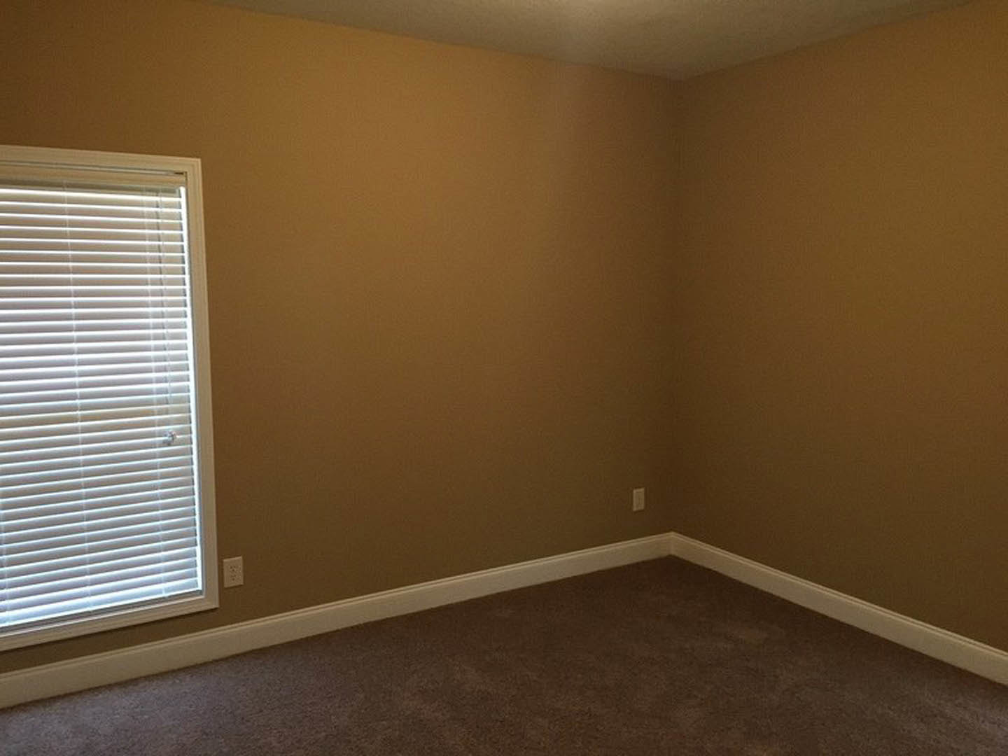 Bedroom with beige carpet flooring, white walls, large window fitted with white blinds, natural light illuminating the space