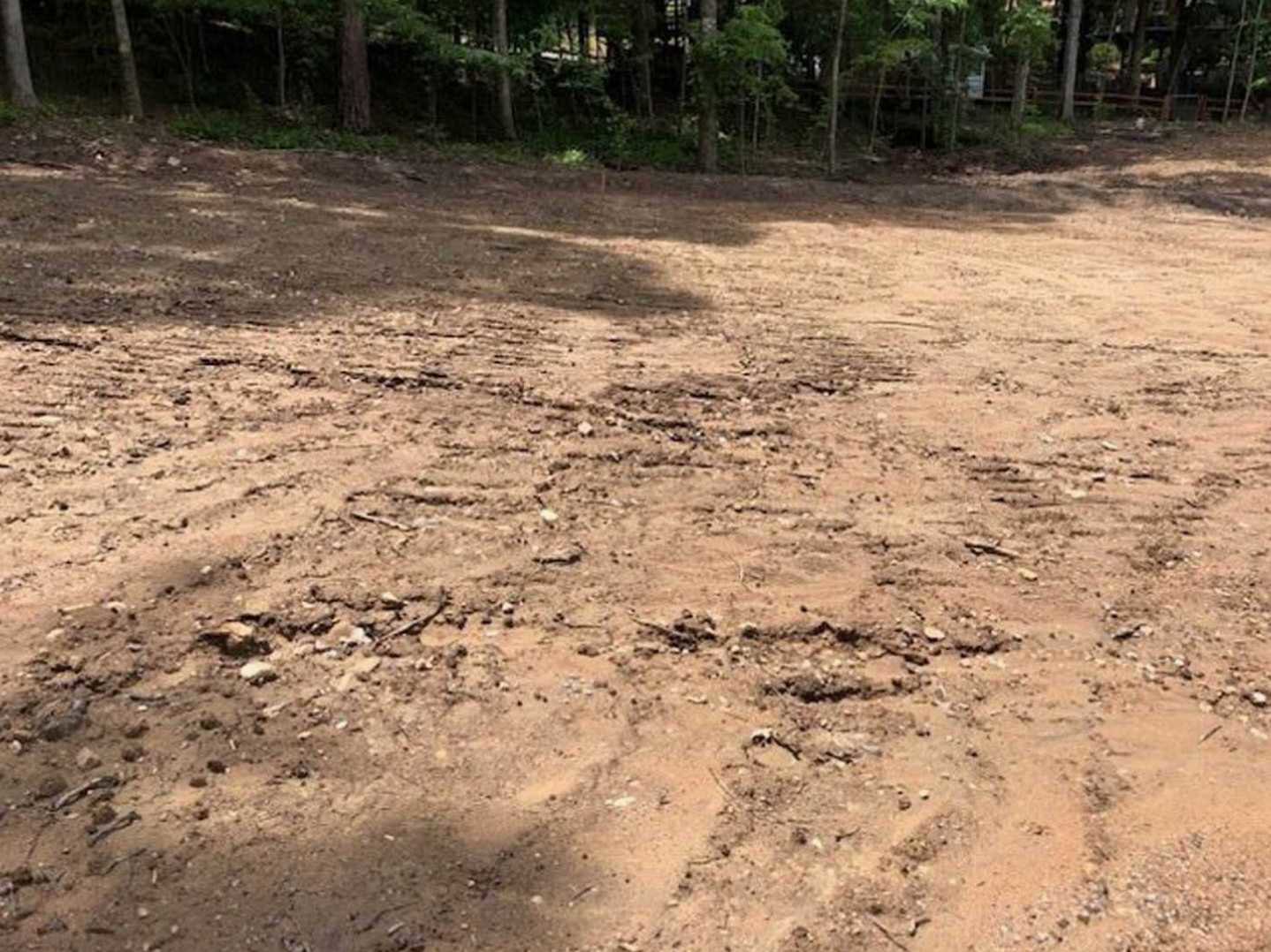 Dirt field bordered by tall trees, natural soil surface, outdoor setting with forested background