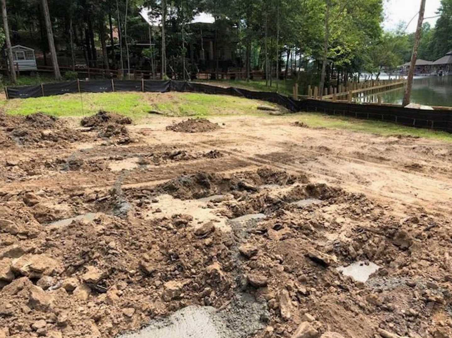 Dirt field bordered by trees and a lake, patches of green grass, small house partially visible among woods, tree trunk in foreground