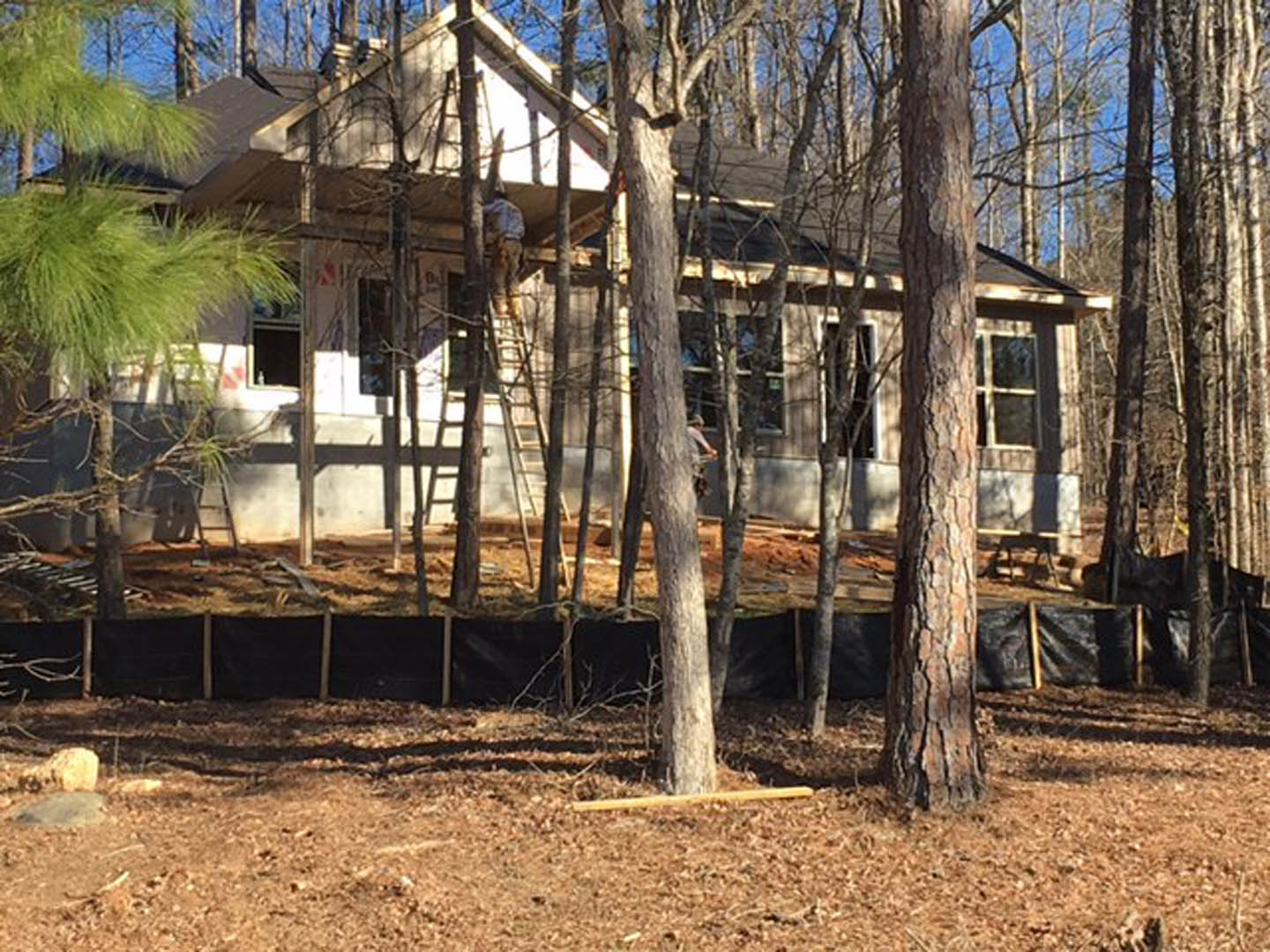 Modern home with light wood siding surrounded by mature trees, leafy branches framing the exterior, natural landscaping with exposed tree trunks and earthy ground.