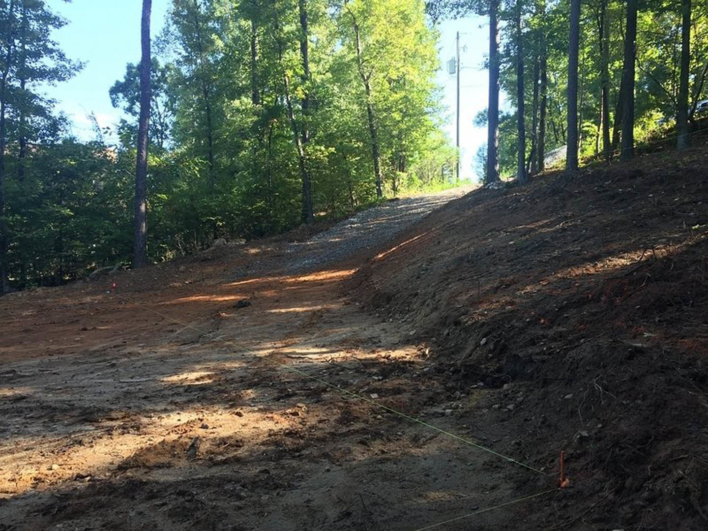 Dirt path winding through wooded area with tall trees and a telephone pole, natural soil surface surrounded by greenery