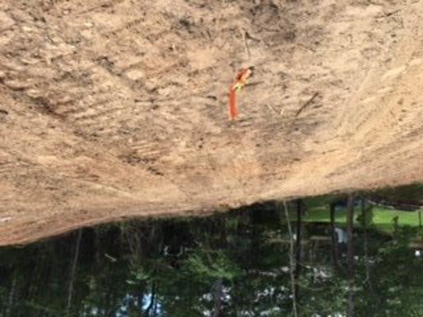 Brown dirt hill with scattered green trees in the background, small brown stick on the ground