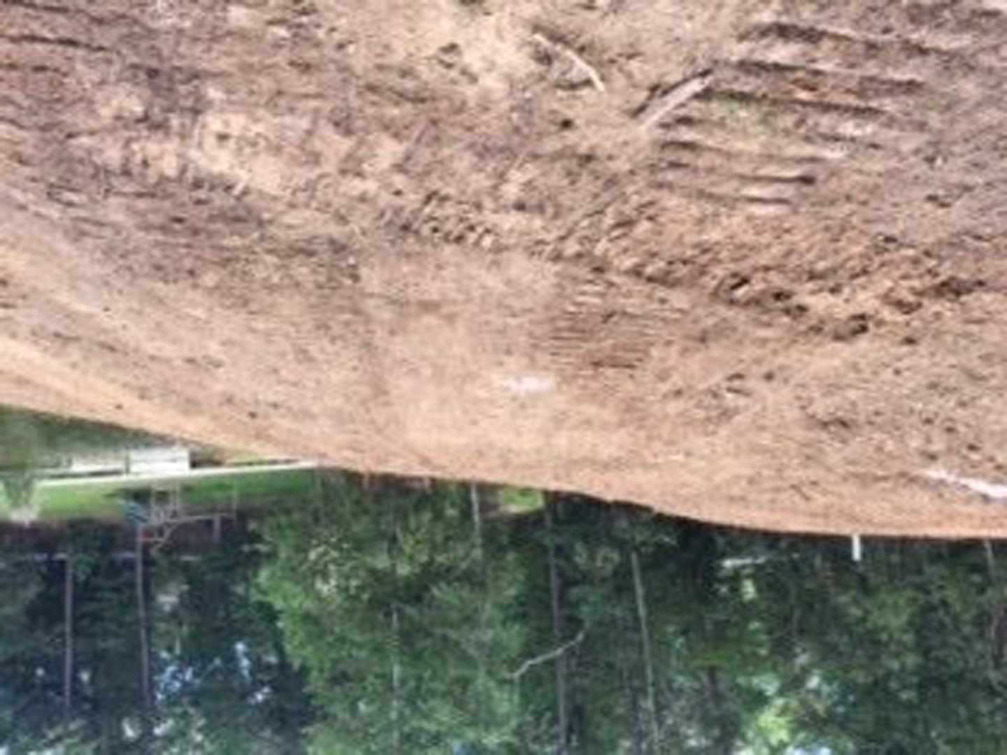 Dirt hill with patches of grass, mature green trees in the background, rocky ground in foreground