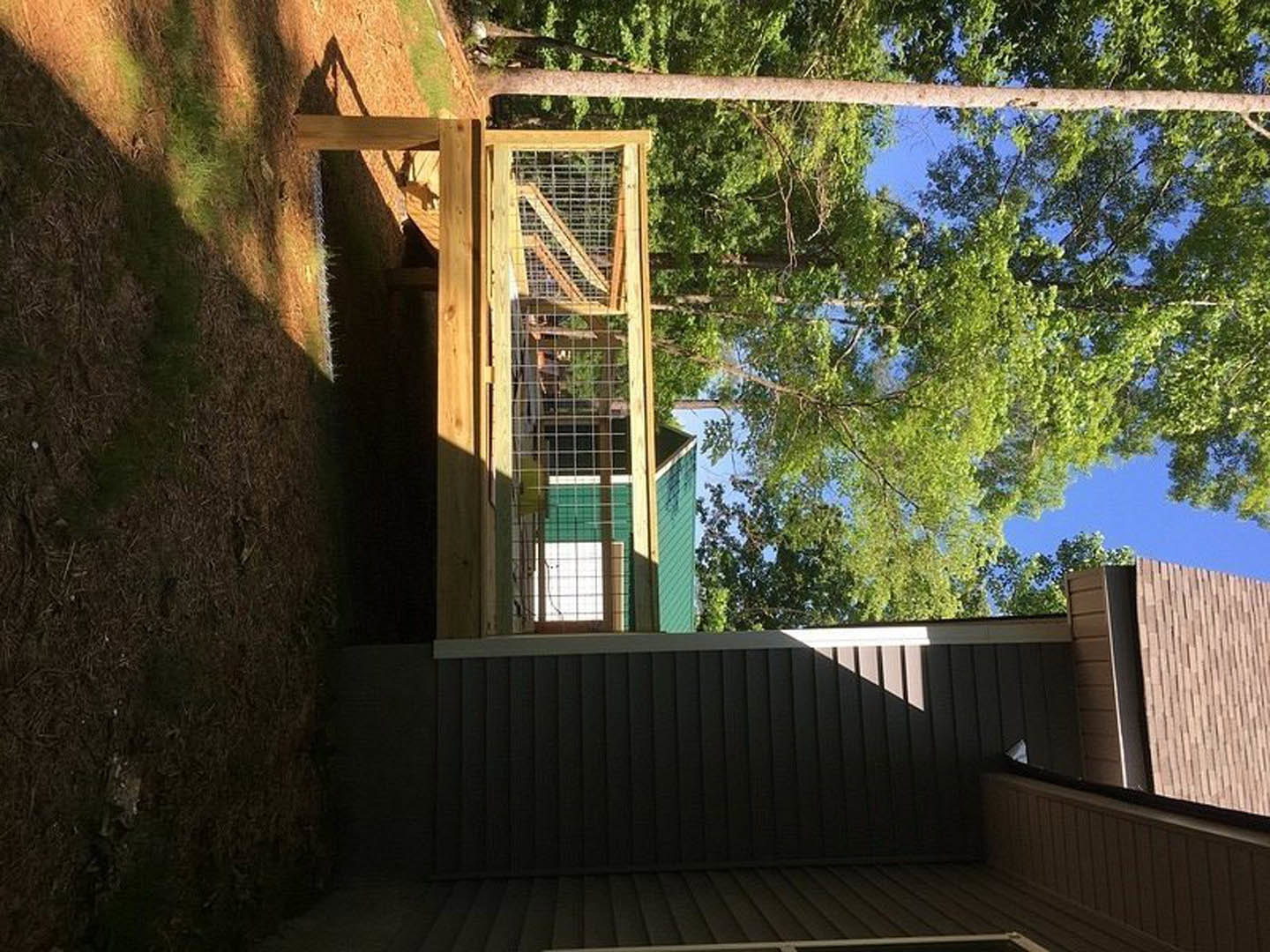 Wooden fenced yard bordered by mature trees, partial brick wall and metal fence visible, sunlight casting building shadow across grassy outdoor area.