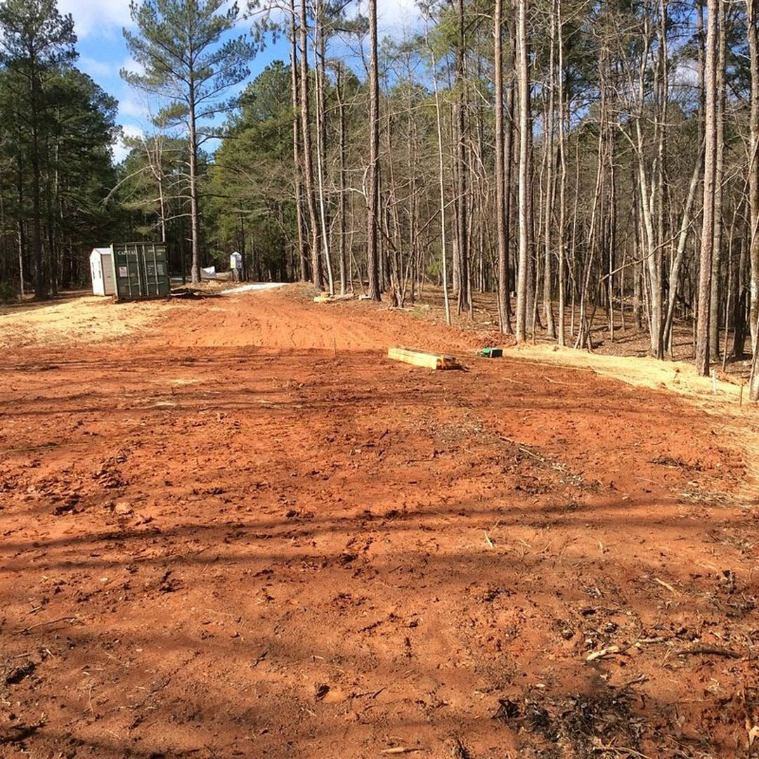 Dirt road bordered by leafless trees and dense woodland under an overcast sky