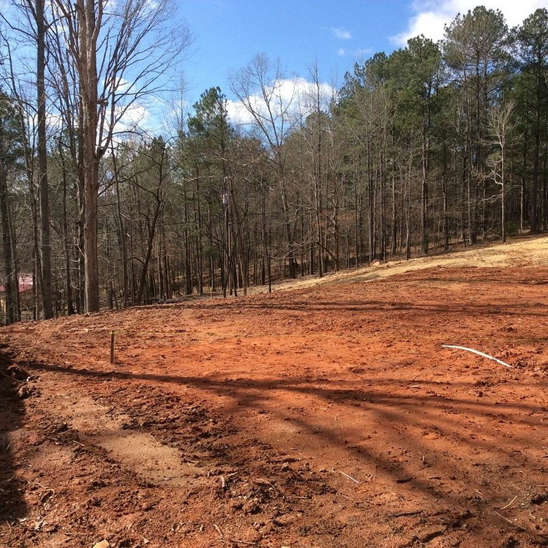 Dirt field bordered by a grove of trees under a blue sky with scattered clouds, white line marking the ground, rocks visible in the foreground