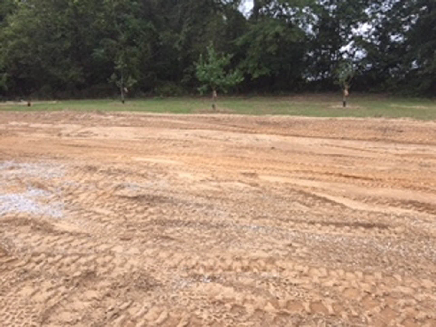 Dirt road bordered by grassy field and scattered trees, person standing in the distance, overcast sky
