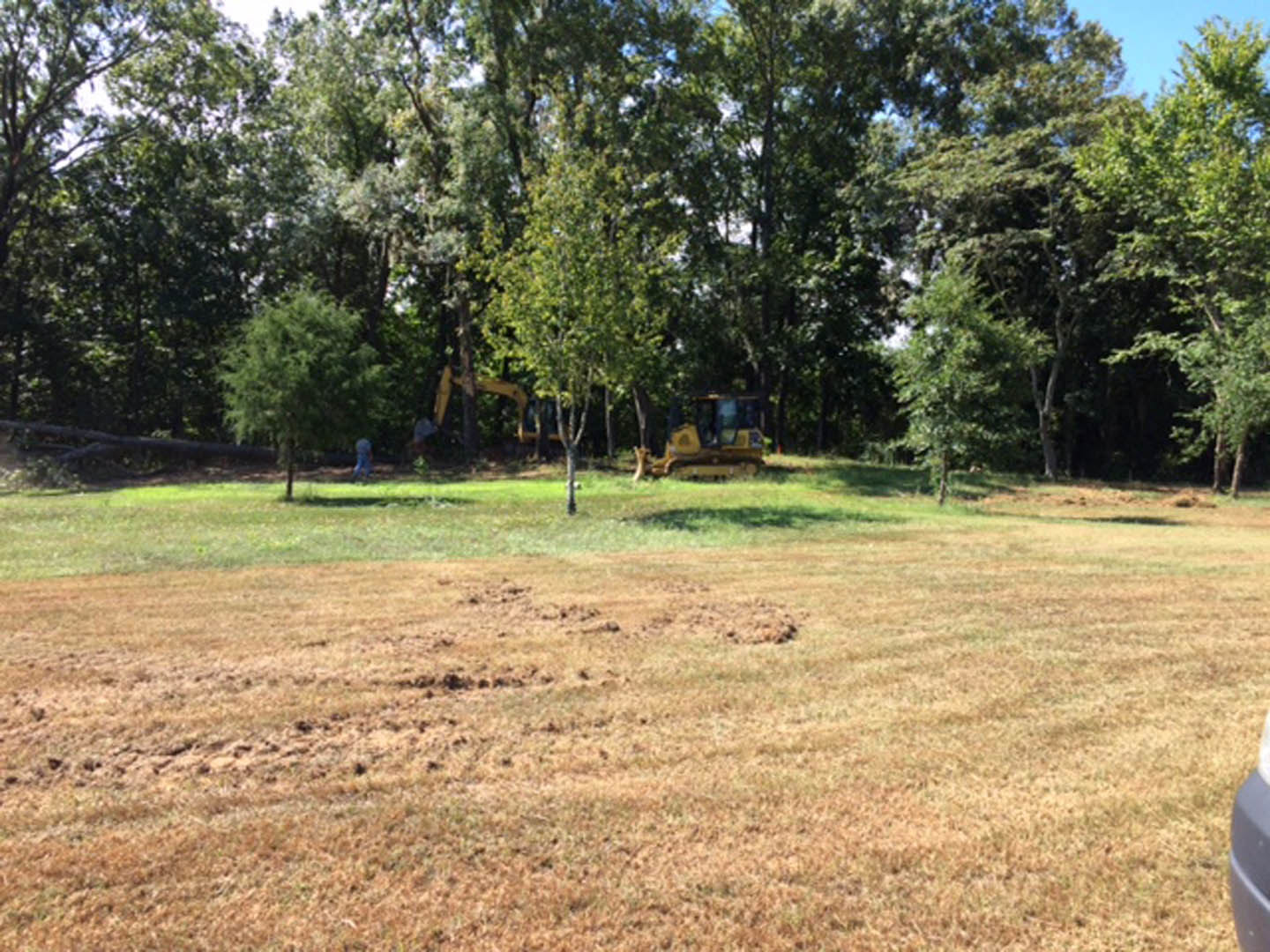 Wide grassy field with scattered trees, tractor parked near the edge, blue sky overhead