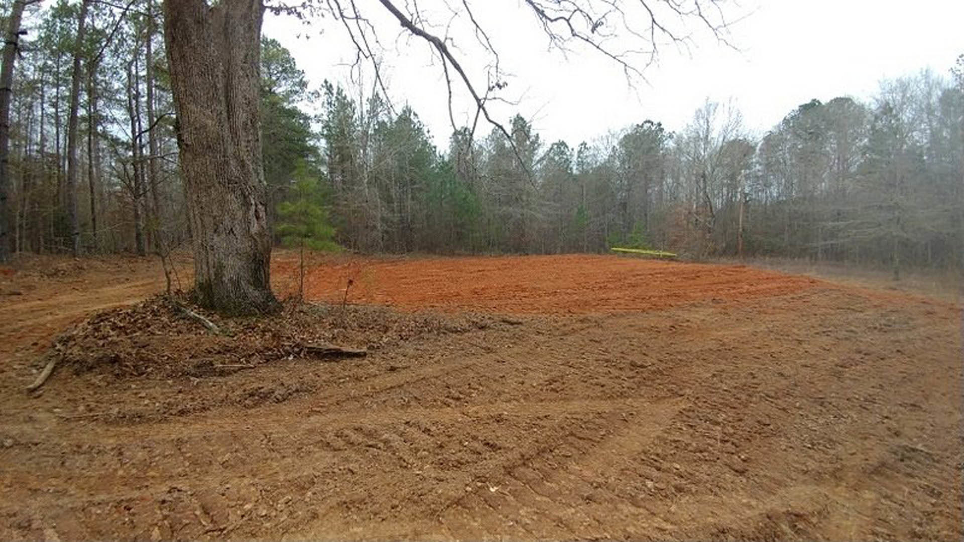 Dirt field with tire tracks, leafless tree trunk and branches in the background, foggy sky above, natural soil and sparse woodland