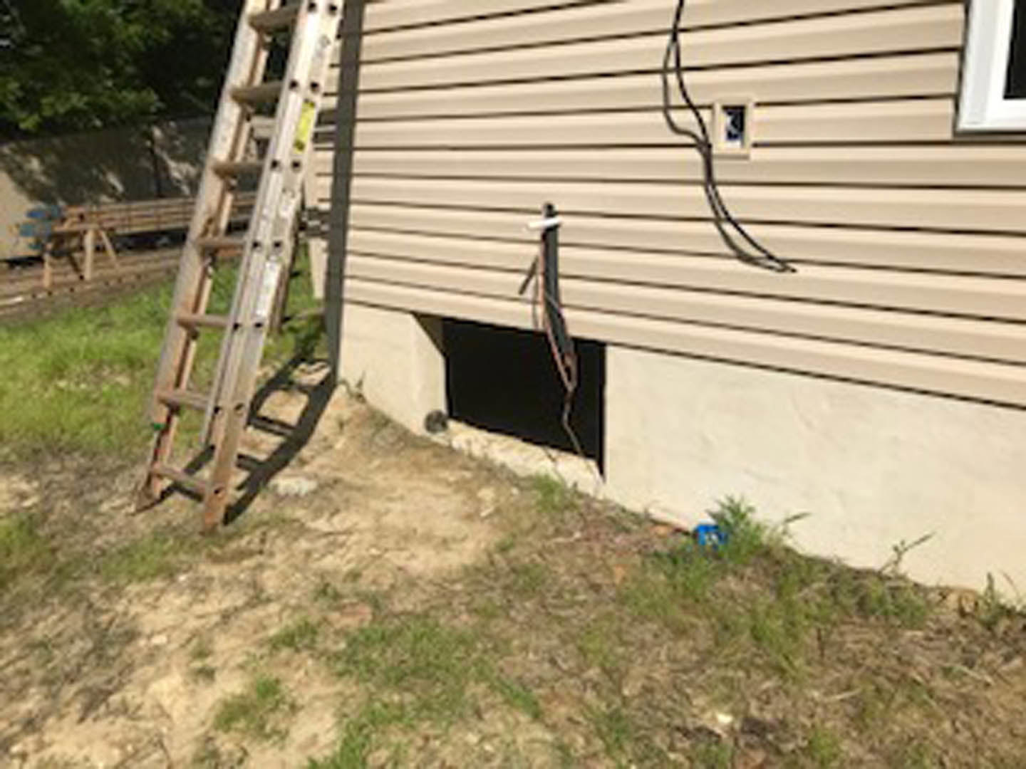 Aluminum ladder leaning against stucco exterior wall beside green grass and small tree