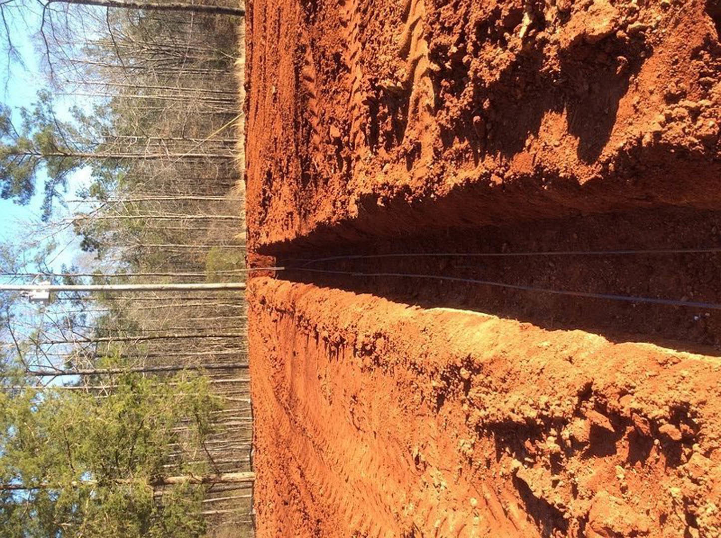 Brown dirt field with tire tracks, red soil surface, brick footings, and a mix of leafy and bare trees under a clear sky in the background