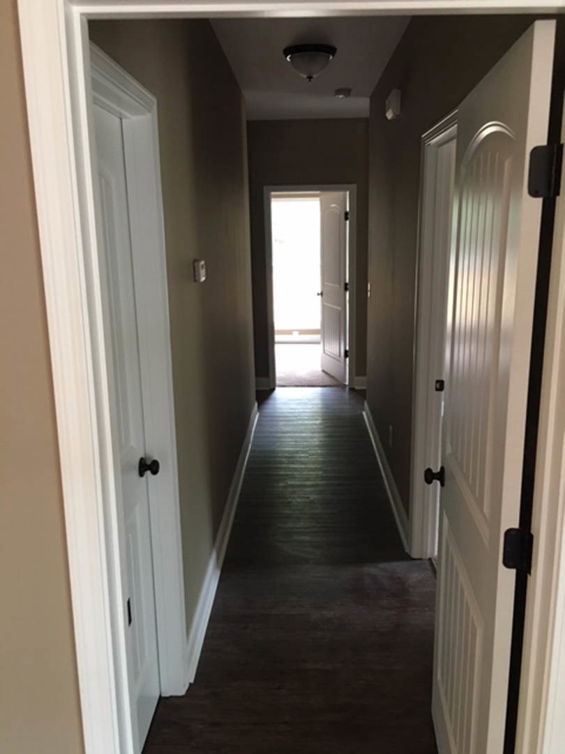 Hallway with warm wood flooring, white doors, black door handle, and natural light streaming through walls