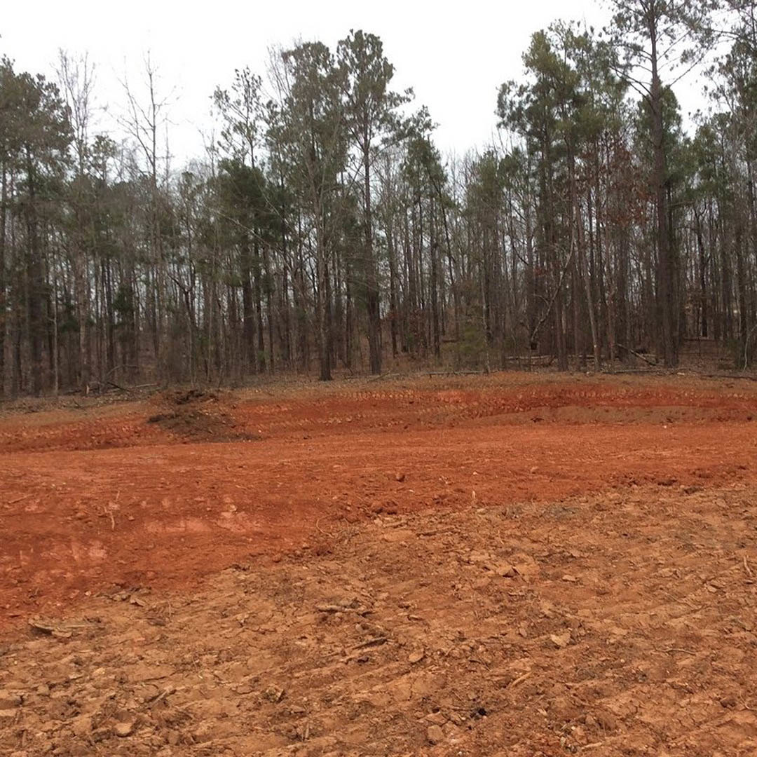 Dirt field bordered by leafless trees under open sky