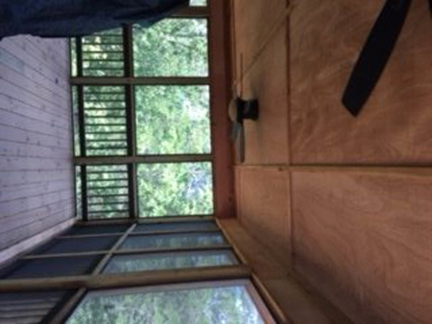 Sunlit room featuring a large window with multiple panes, white walls, and a wooden door; partial view of a tree and building visible through the glass.