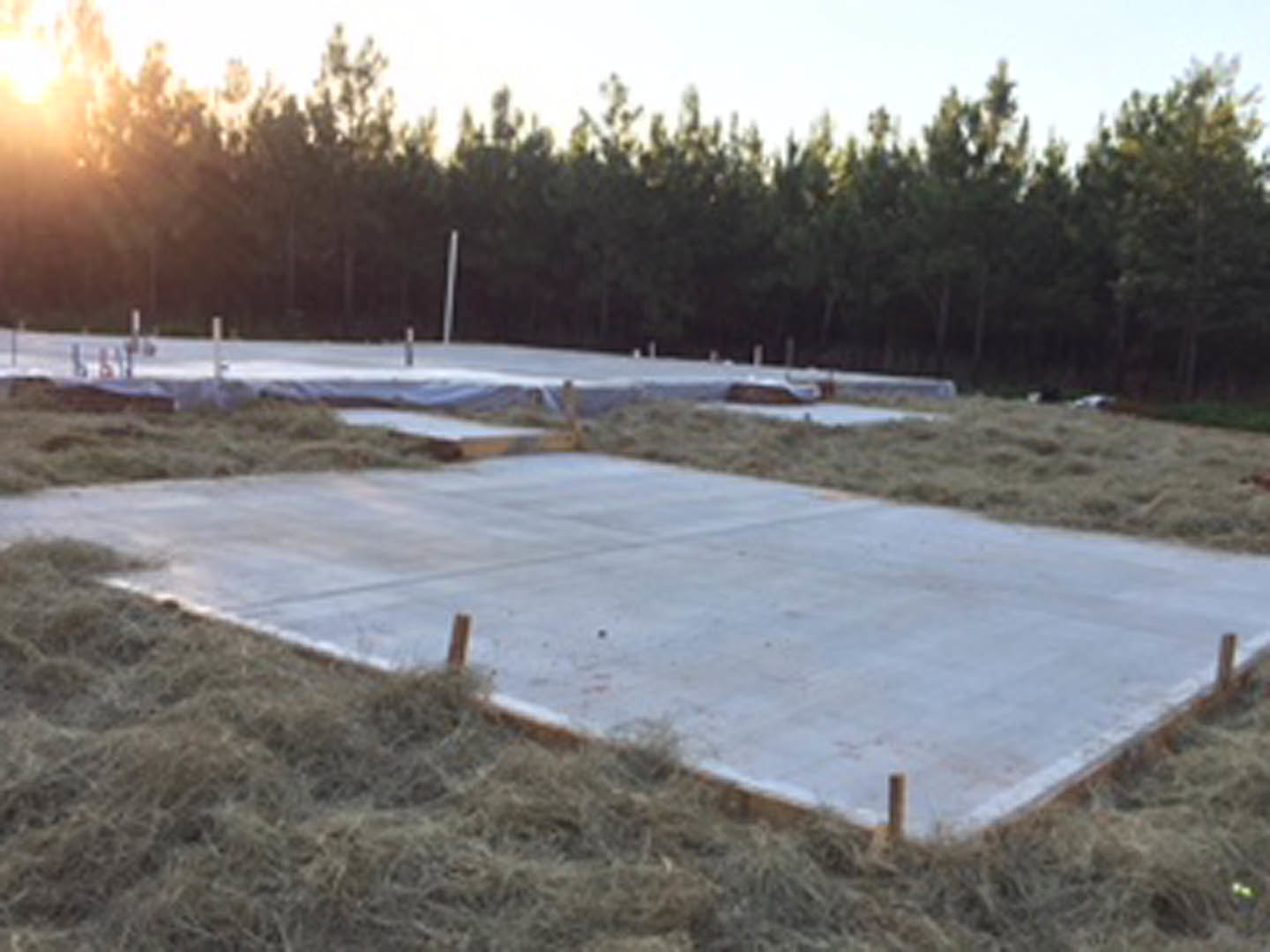 Concrete slab foundation surrounded by grassy field, with trees and wooden post visible in the background.