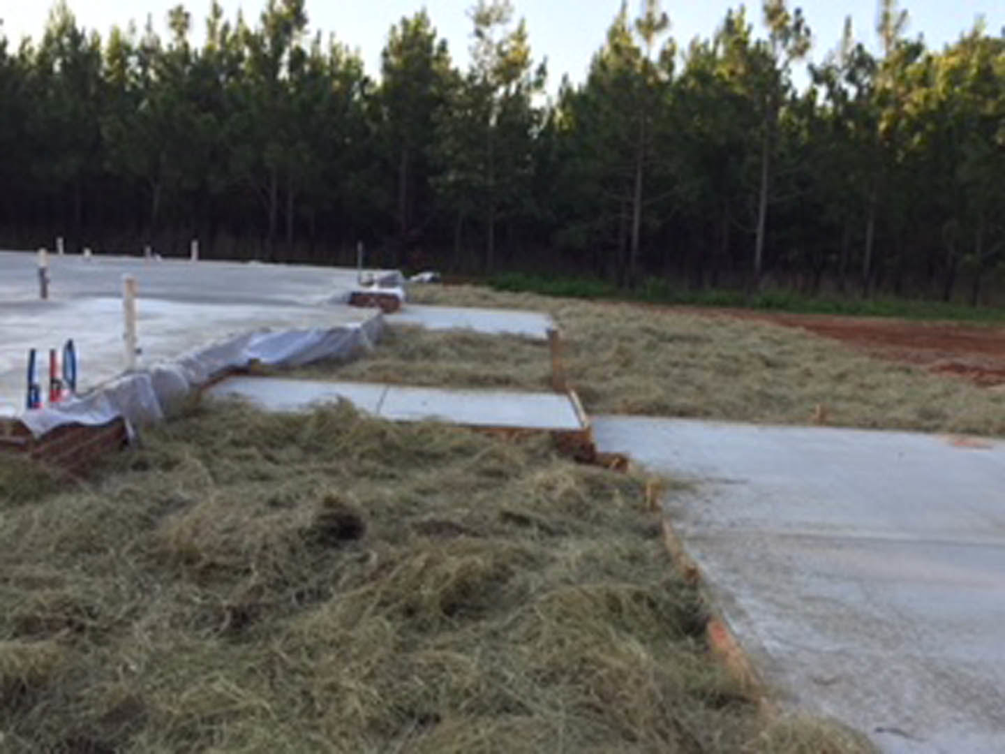 Concrete walkway bordered by green grass, mature trees in the background, outdoor residential landscape.